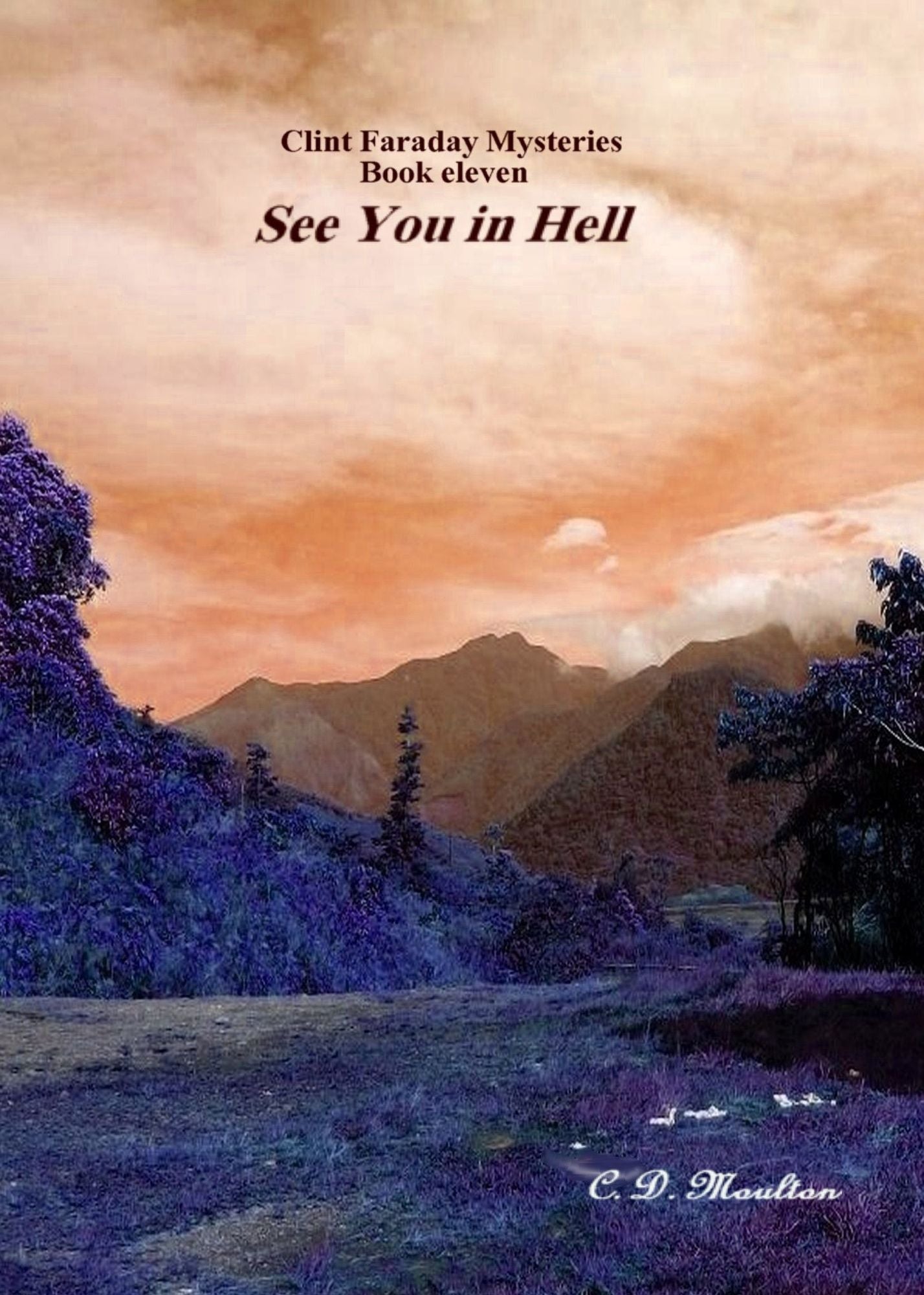 Clint Faraday Book 11: See You in Hell Collector's Edition