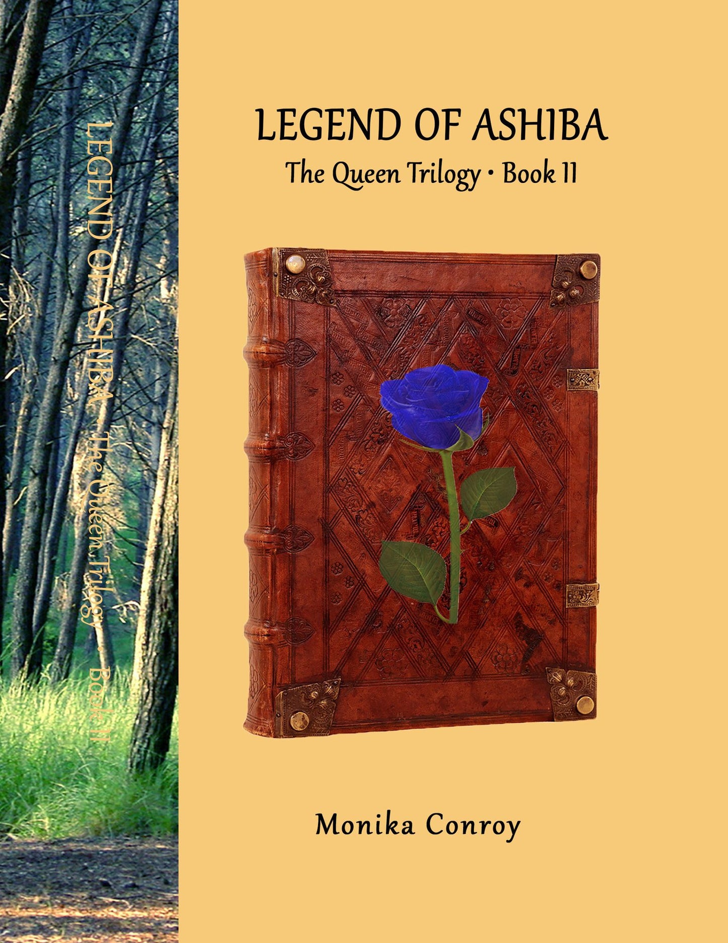 The Legend of Ashiba