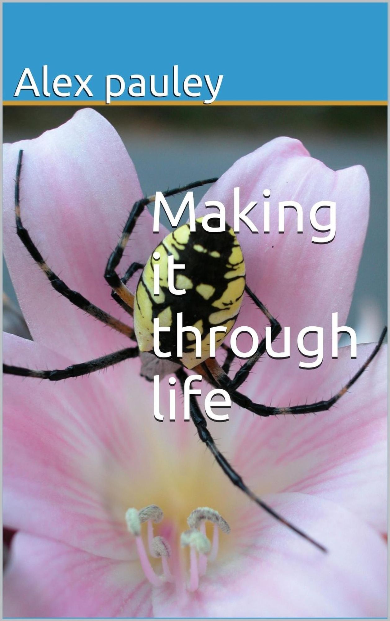 Making it through life