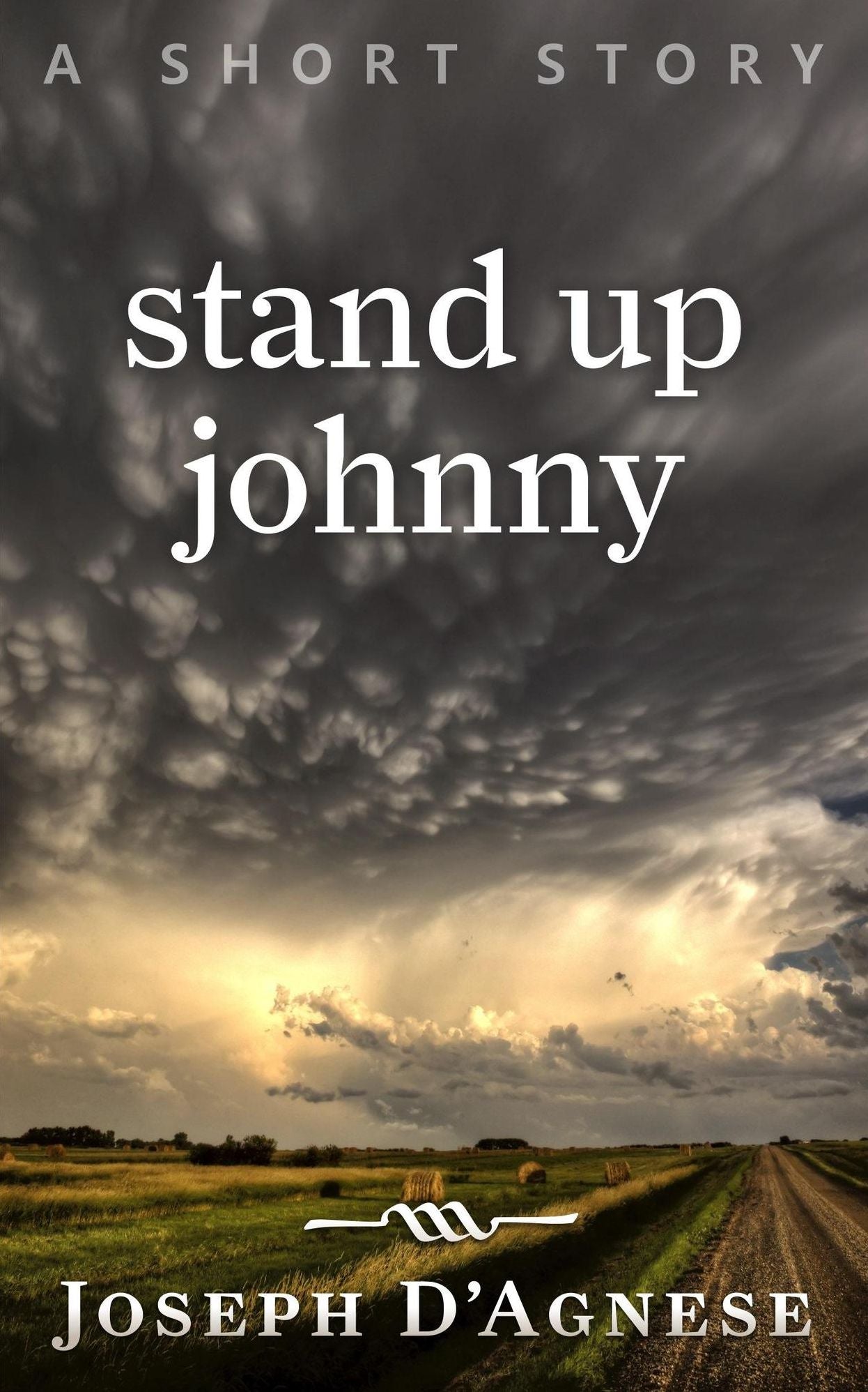 Stand Up Johnny
