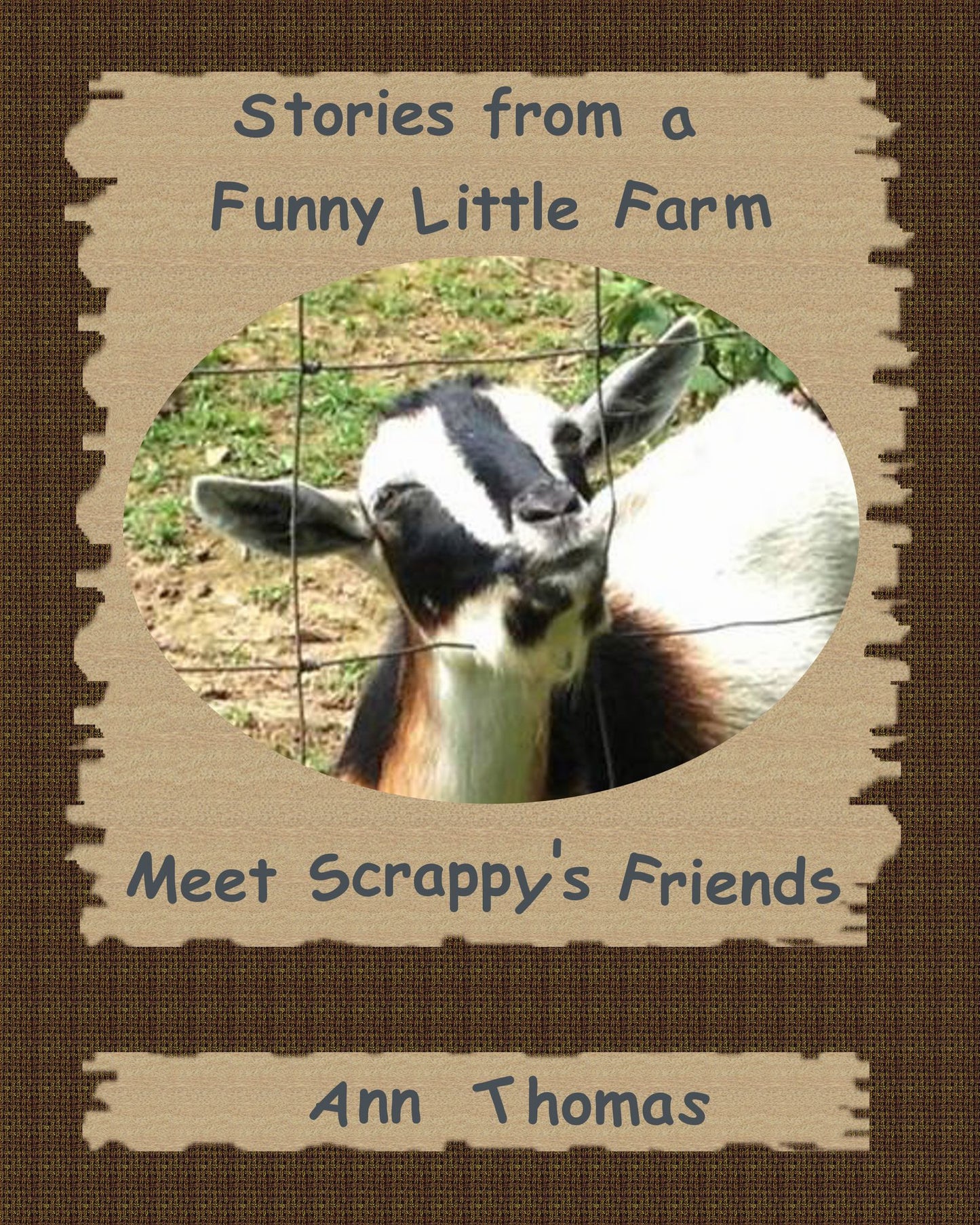 Stories from a Funny Little Farm: Meet Scrappy's Friends