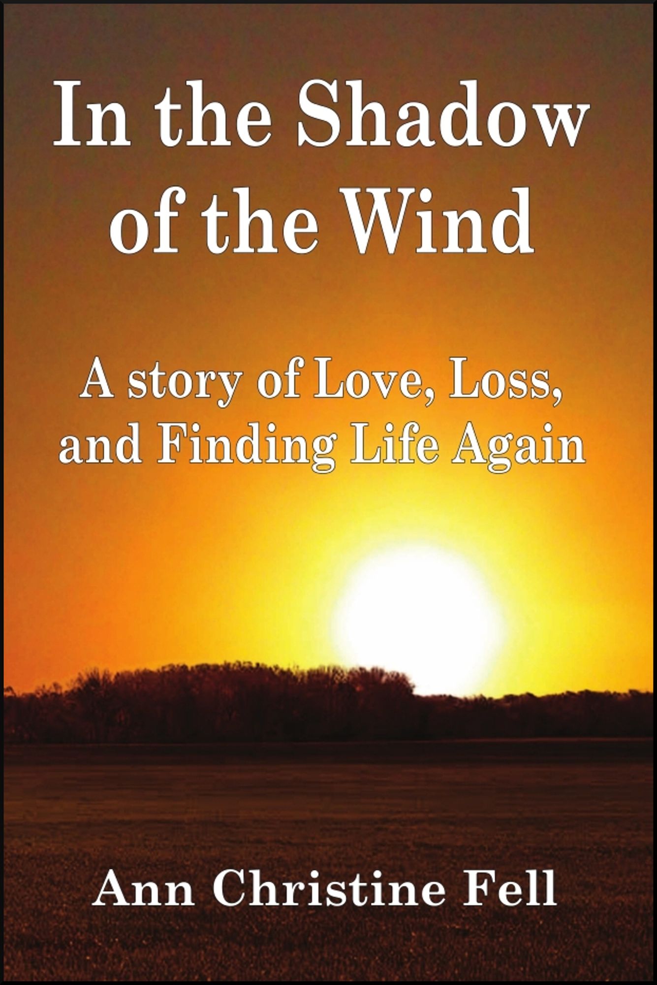 In the Shadow of the Wind