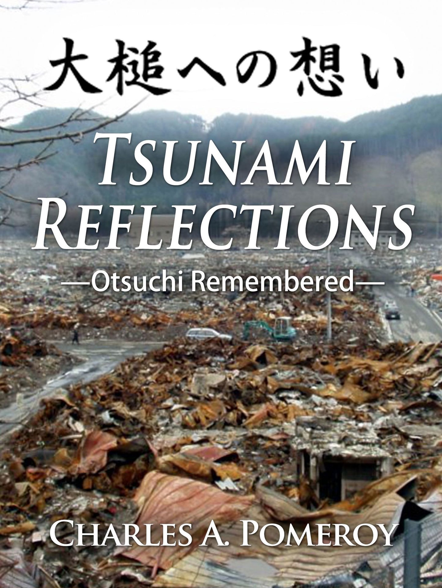 Tsunami Reflections: Otsuchi Remembered