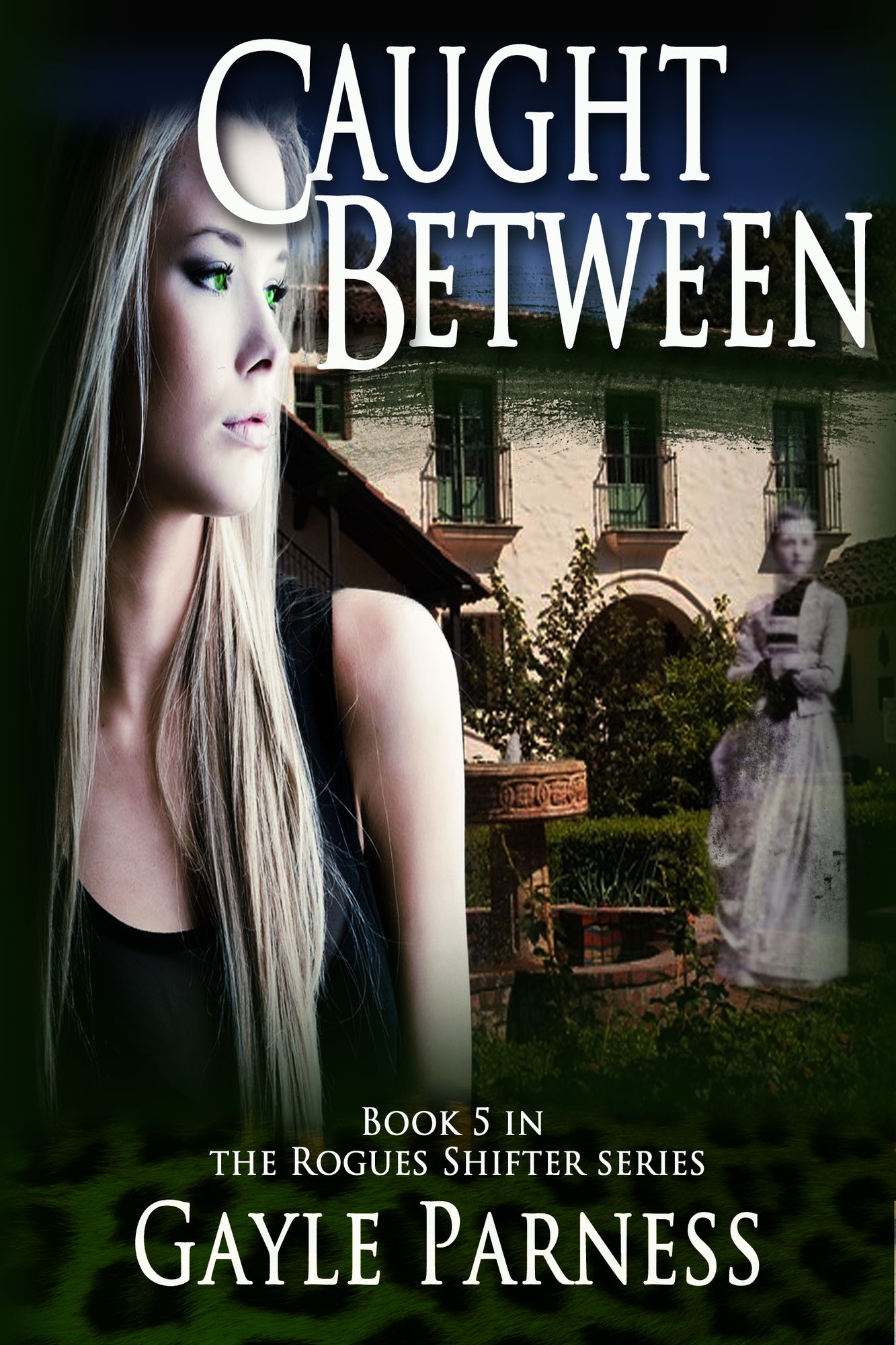 Caught Between: Book 5 Rogues Shifter Series