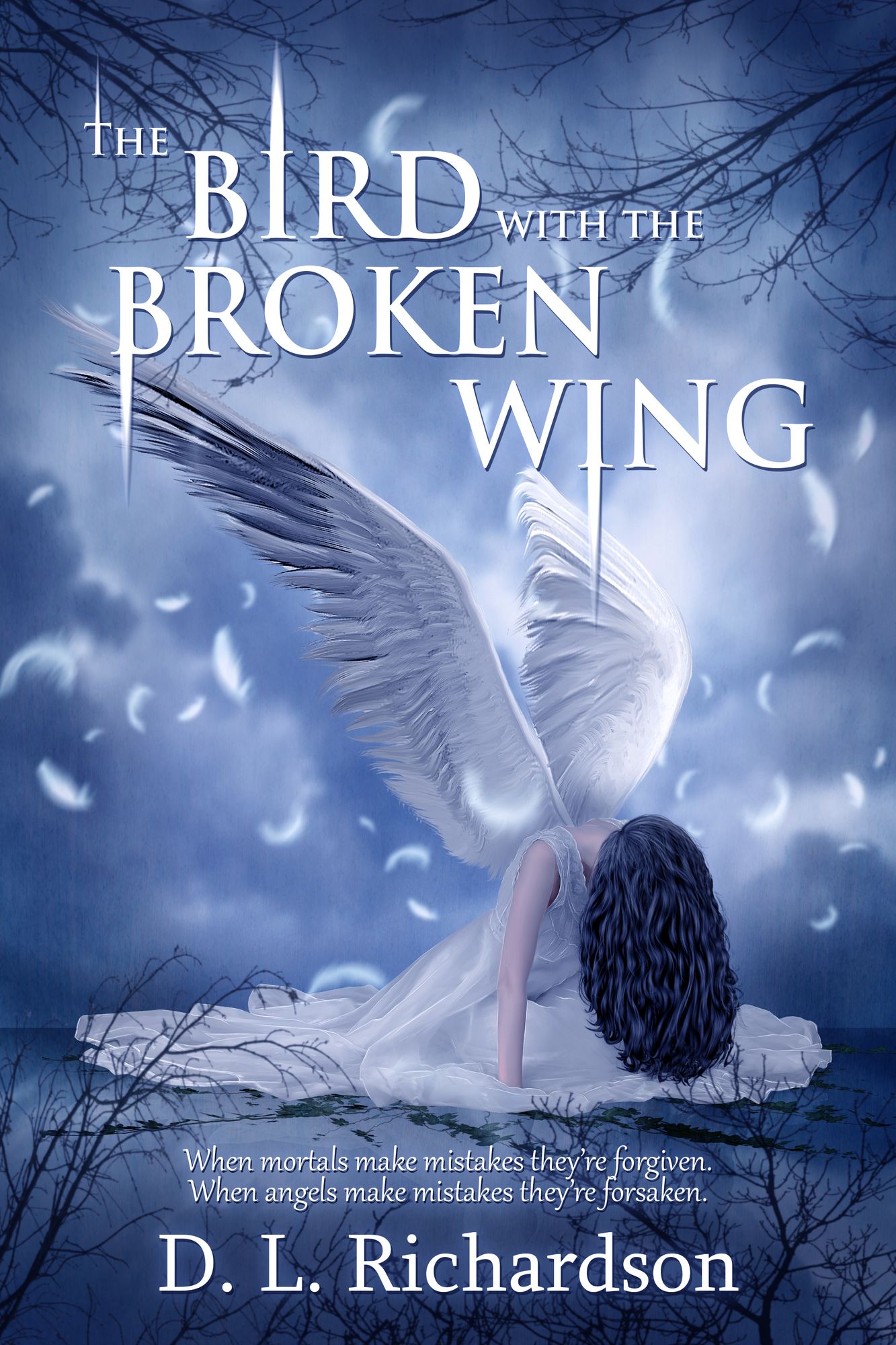 The Bird With The Broken Wing