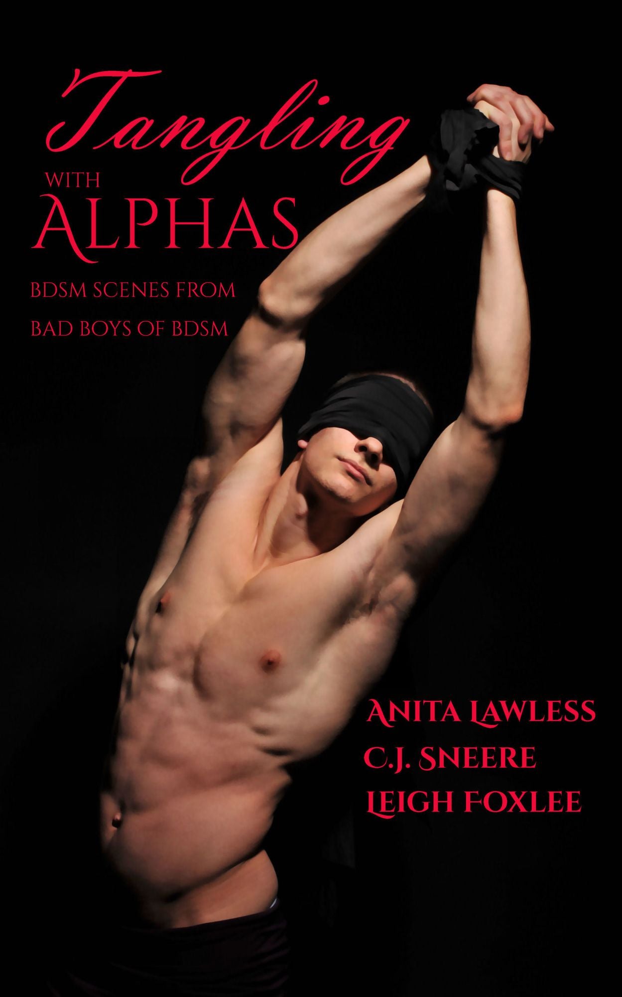 Tangling with Alphas: BDSM Scenes from Bad Boys of BDSM