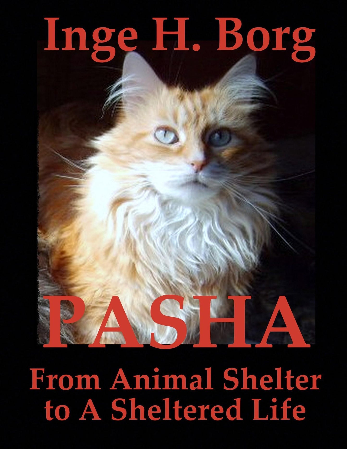 Pasha, From Animal Shelter to A Sheltered Life