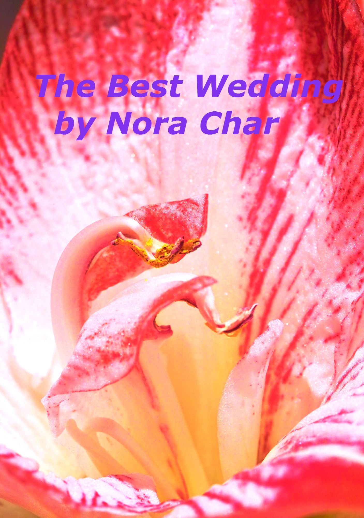 The Best Wedding