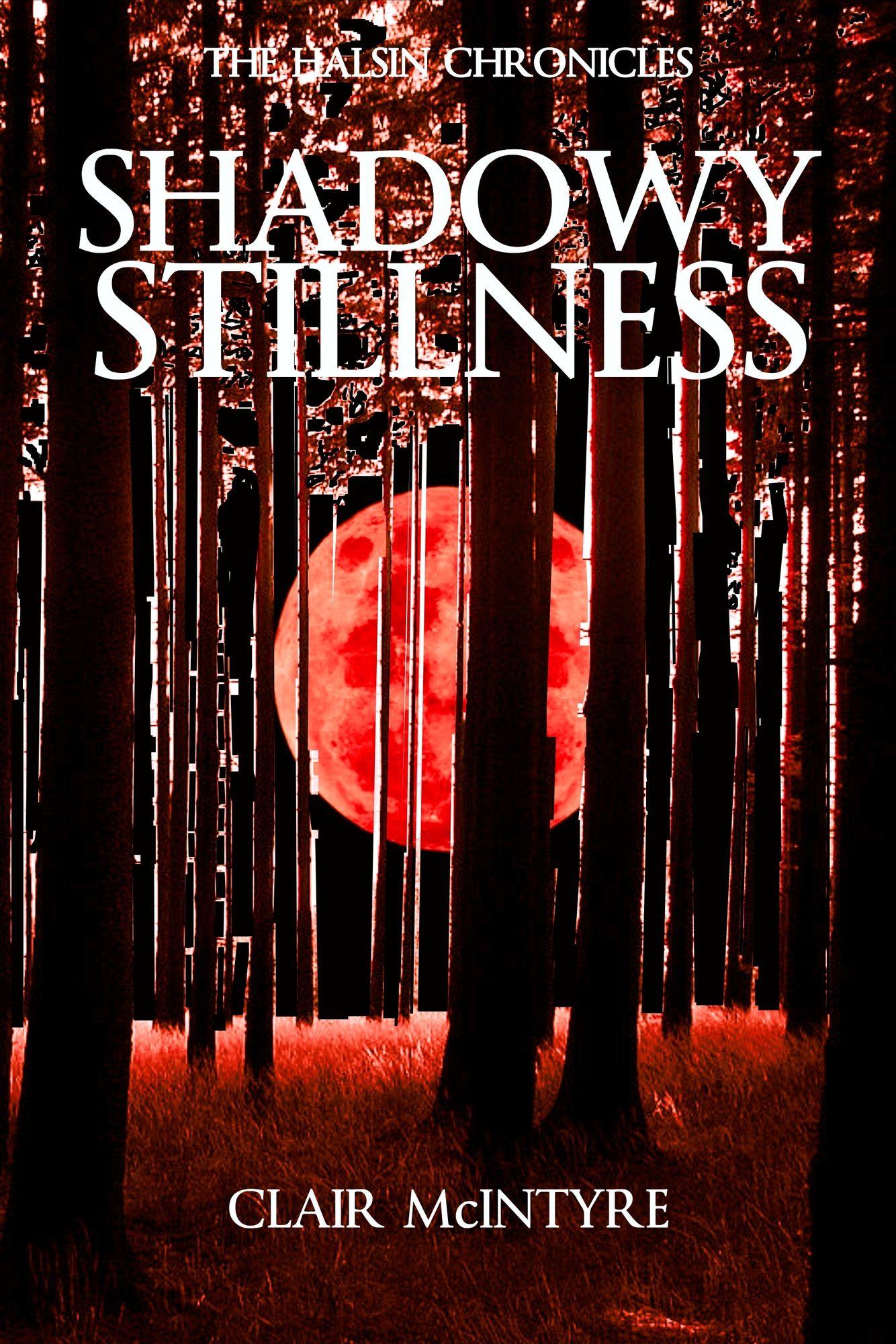 Shadowy Stillness