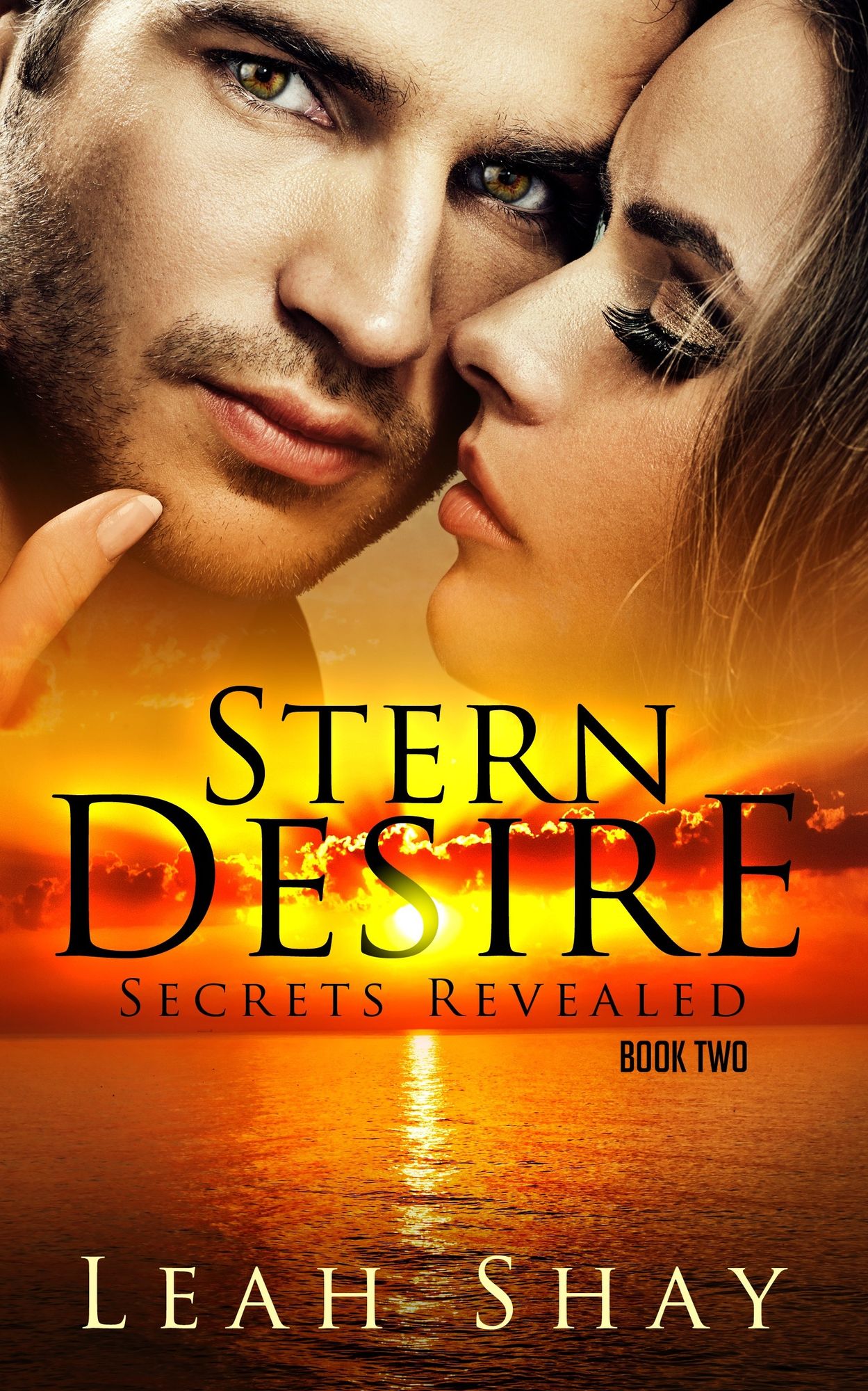 Stern Desire: Secrets Revealed