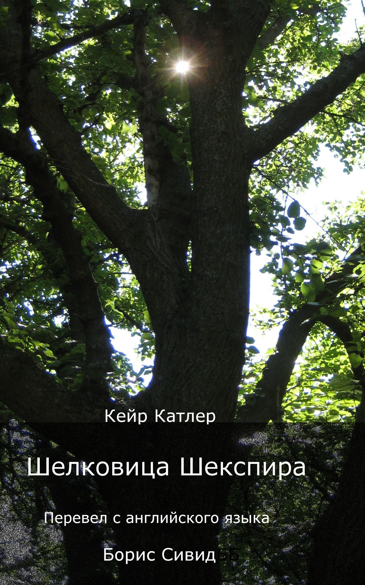 Selkovica Sekspira