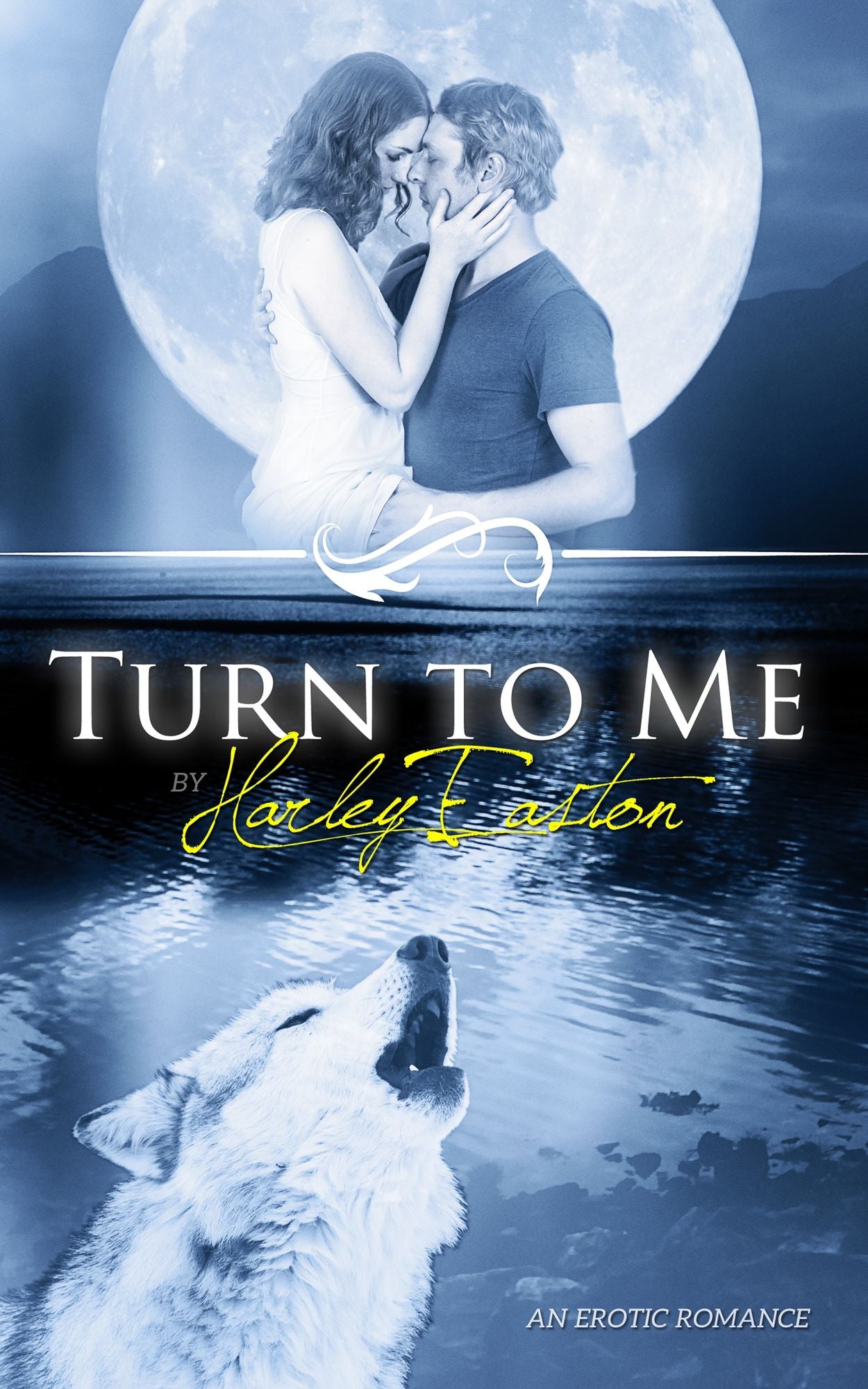 Turn To Me: An Erotic Romance