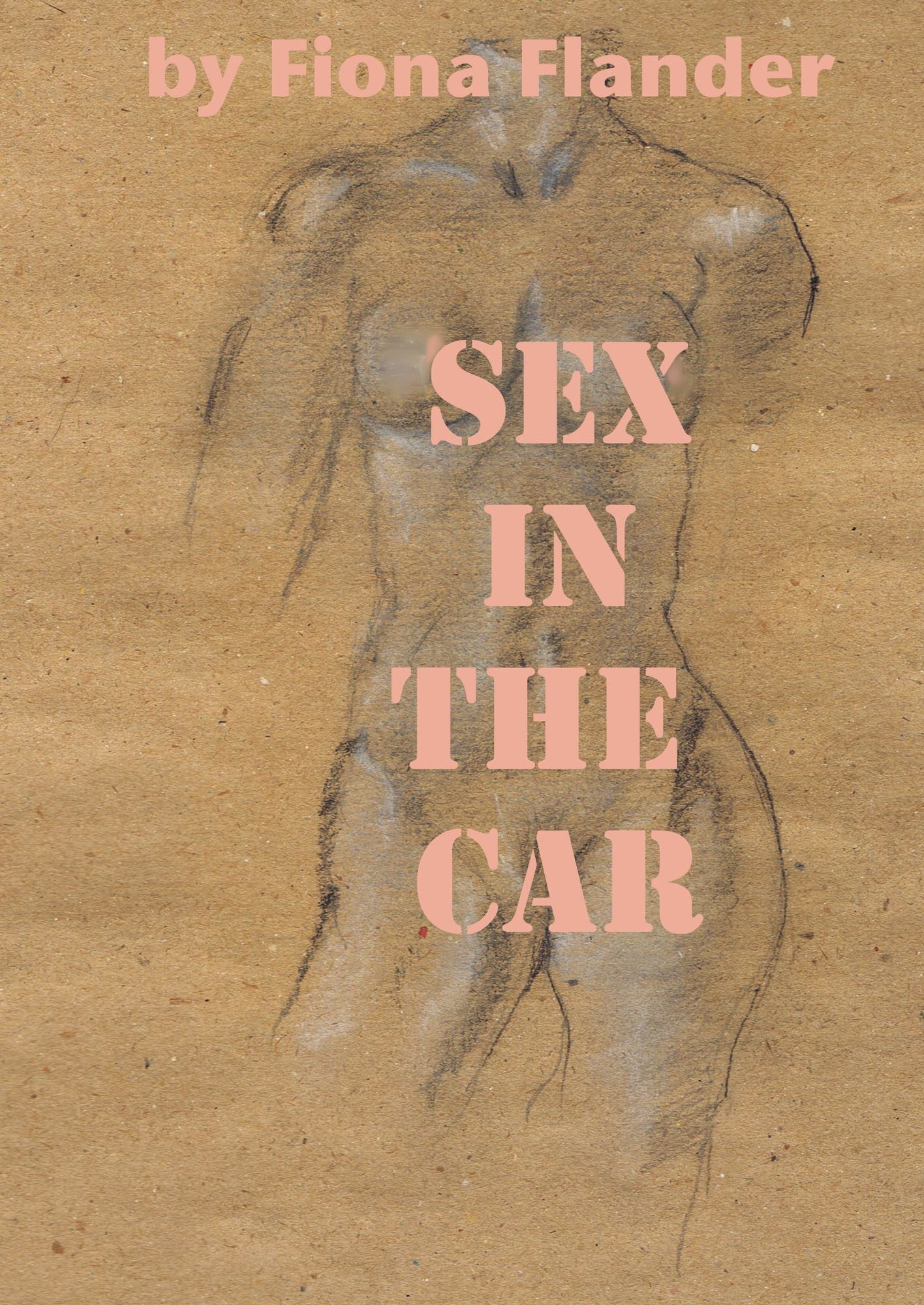 Sex In The Car