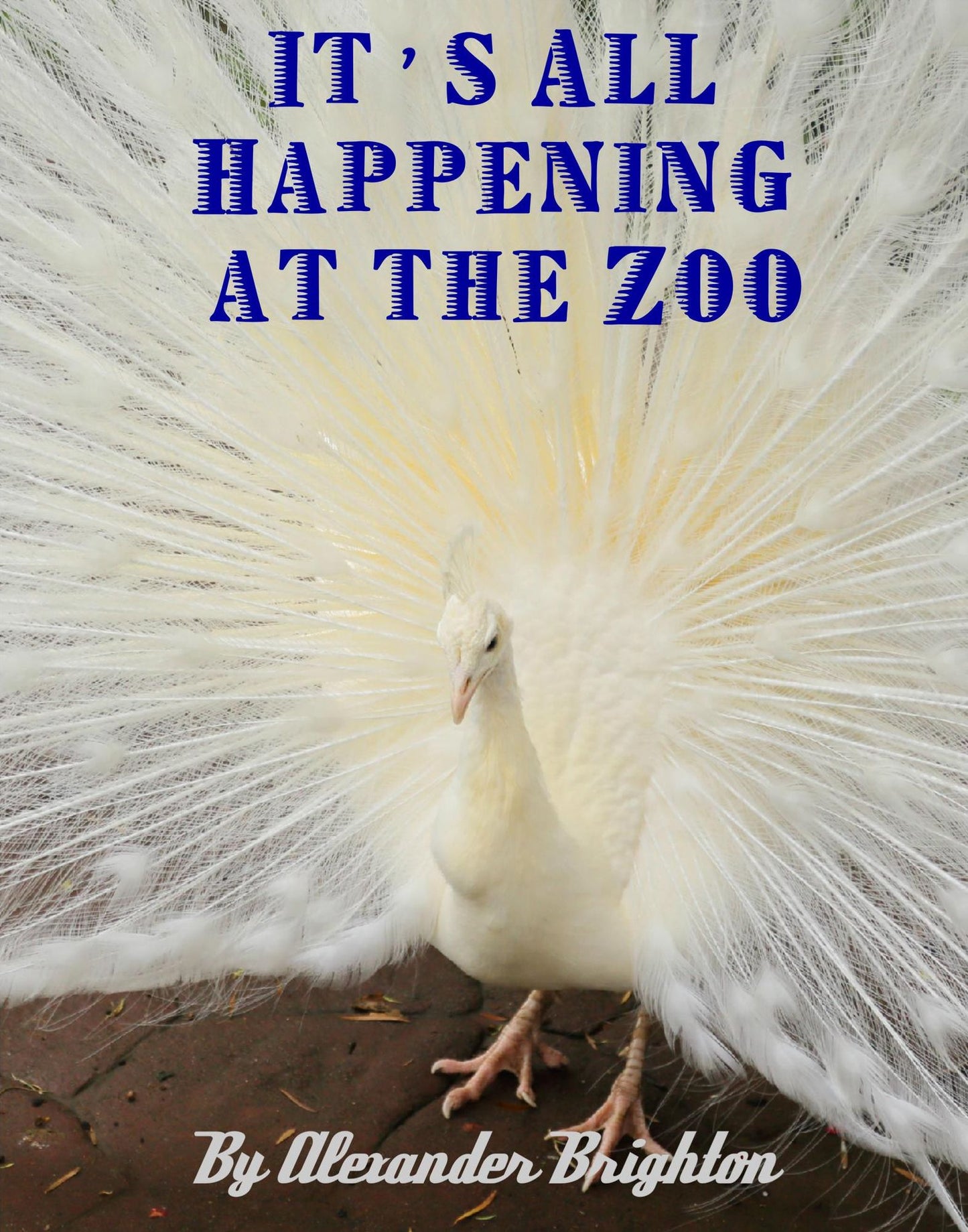 It's All Happening at the Zoo