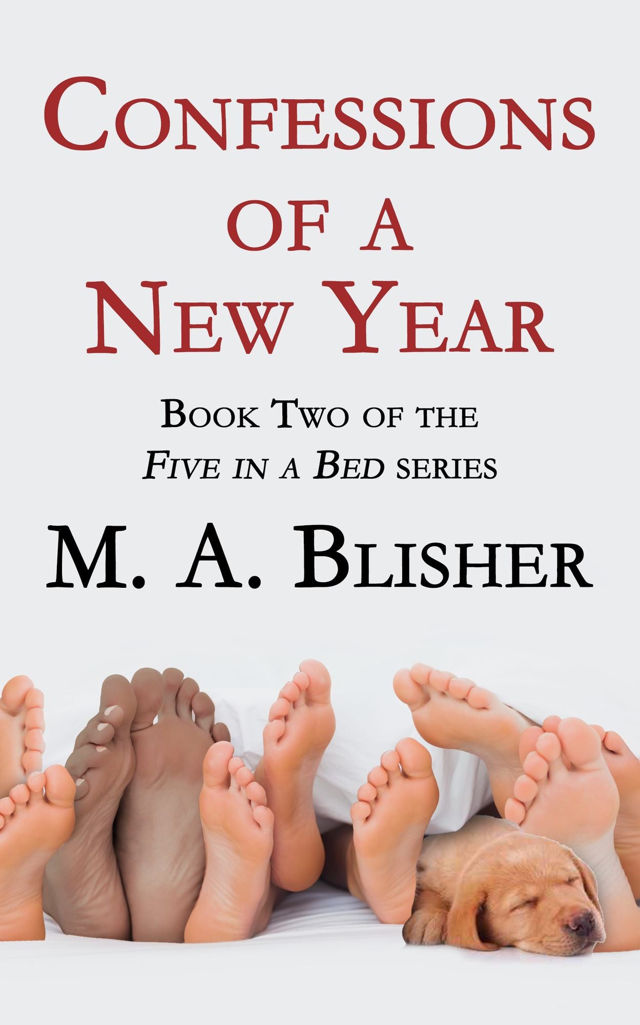Confessions of a New Year: Book 2 of Five in a Bed