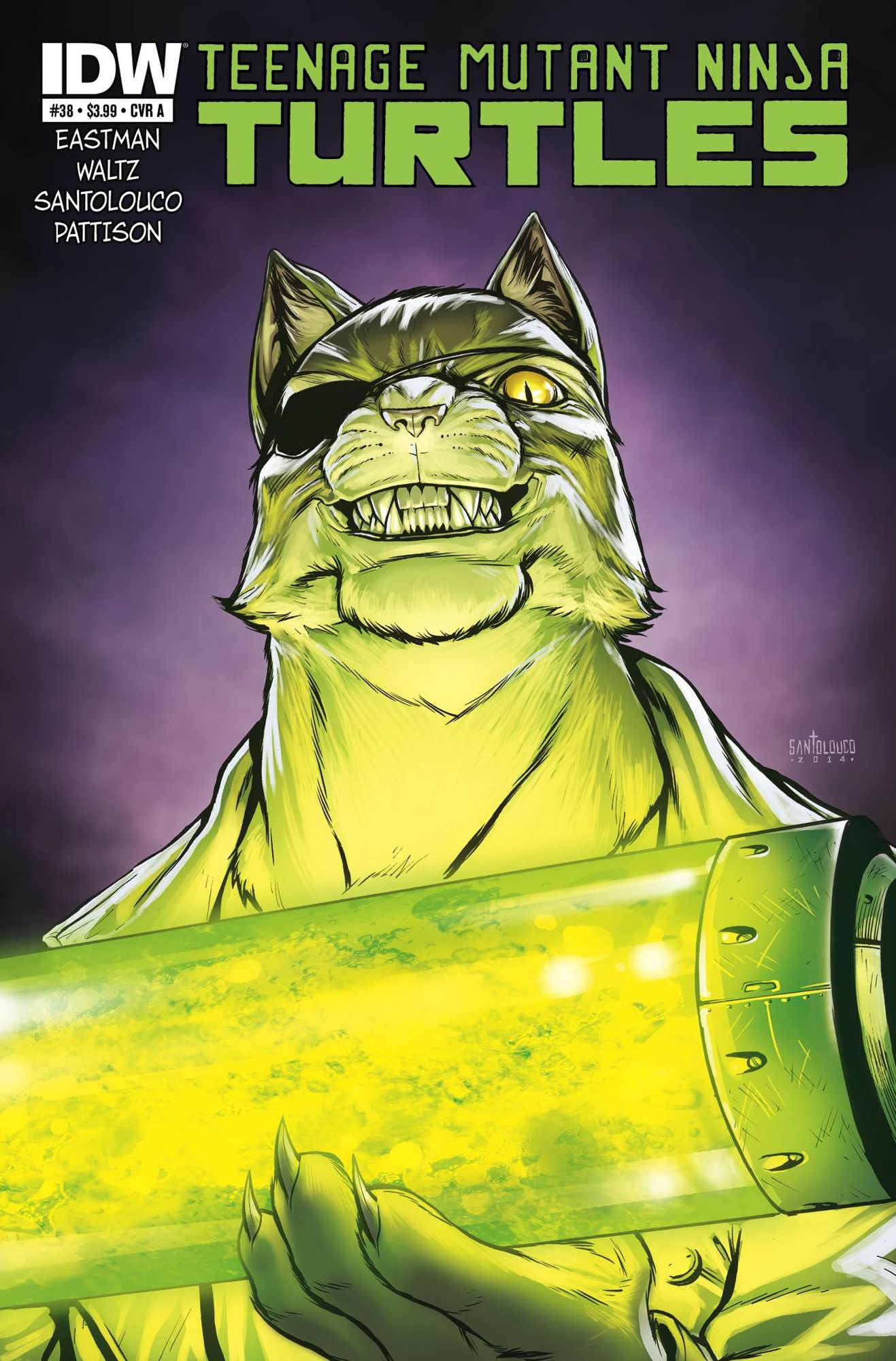 Teenage Mutant Ninja Turtles #38