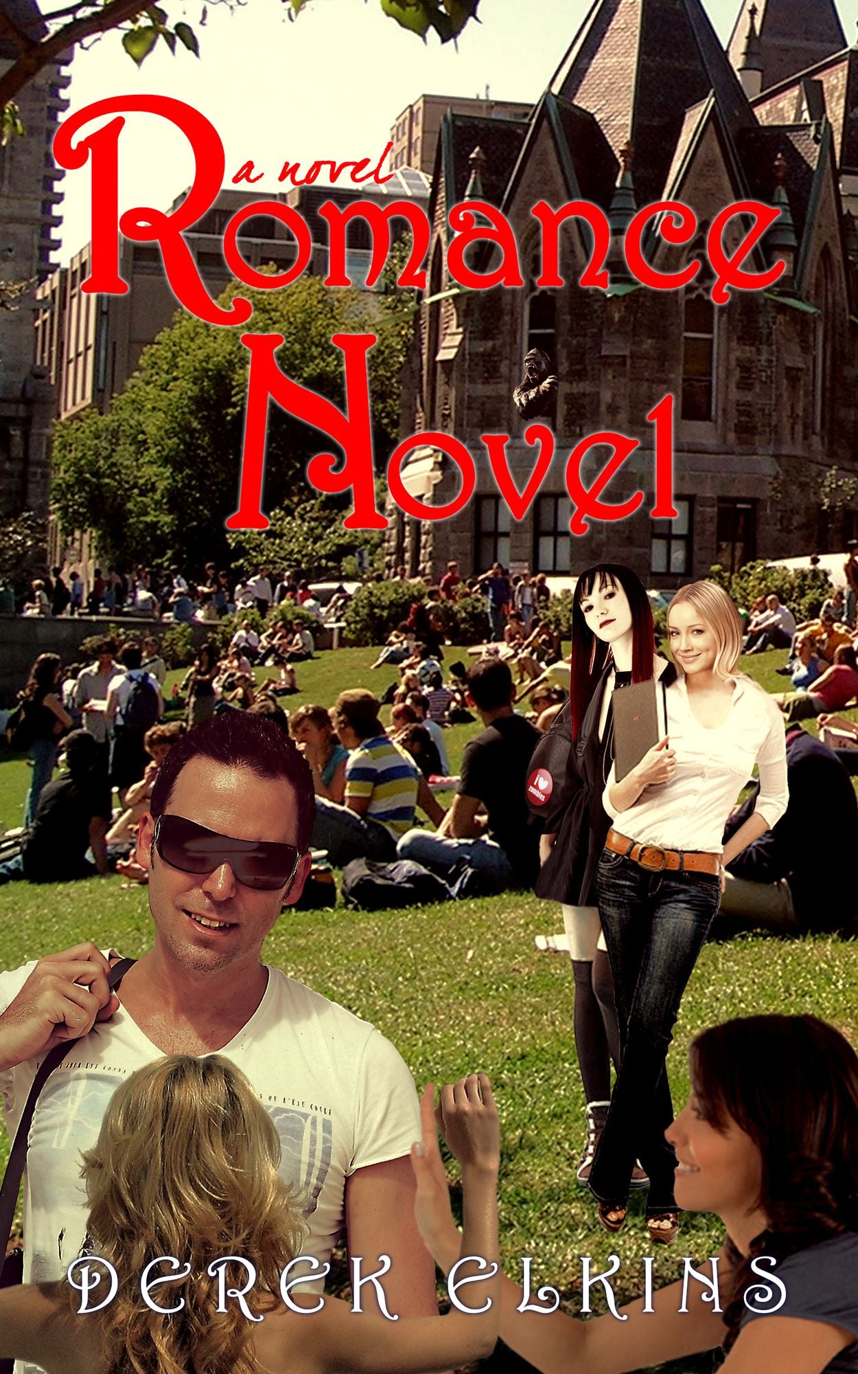 A Novel Romance Novel