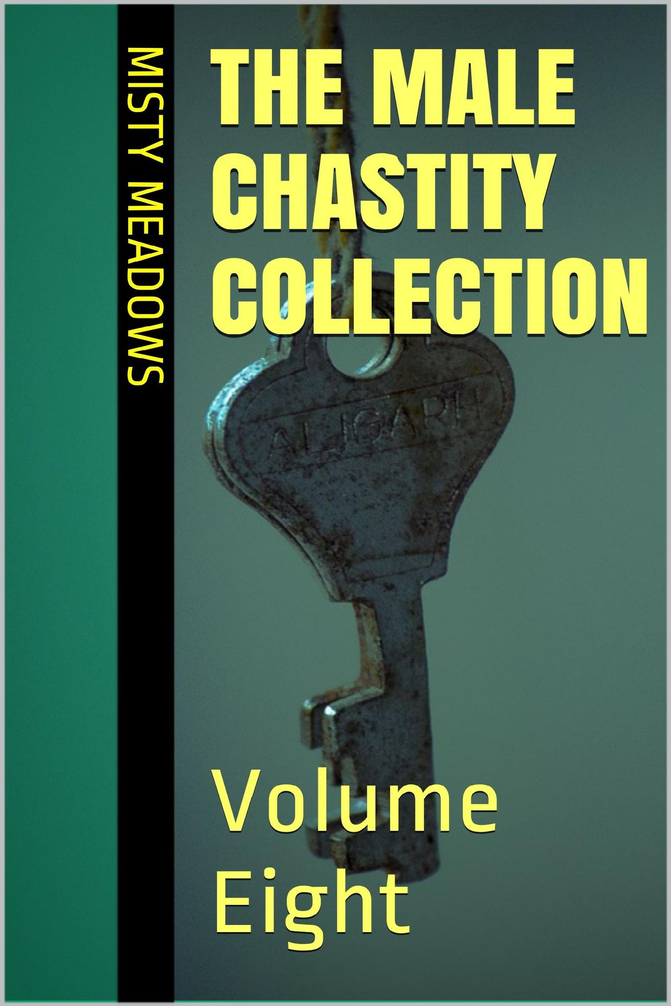 The Male Chastity Collection: Volume Eight (Femdom, Chastity)