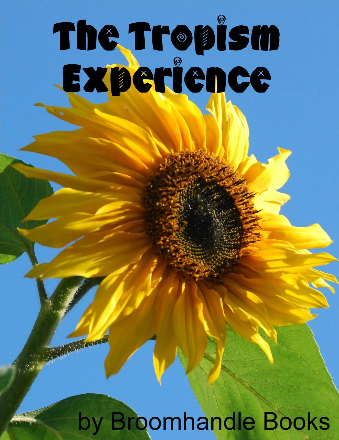 The Tropism Experience