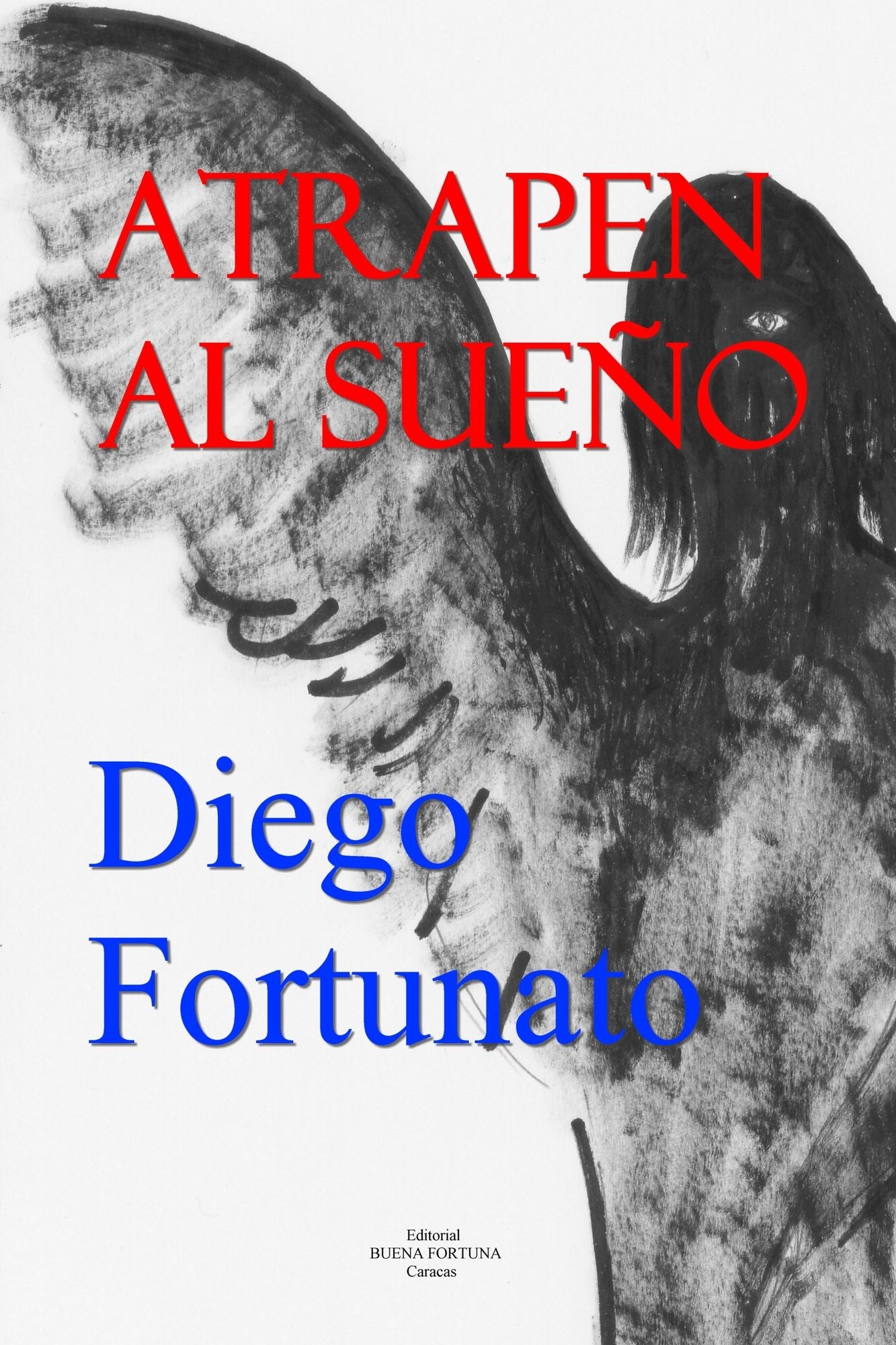 Atrapen al sueño