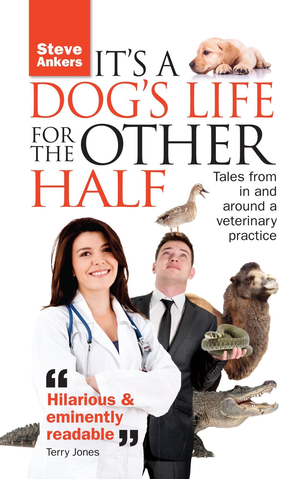 It's A Dog's Life For The Other Half