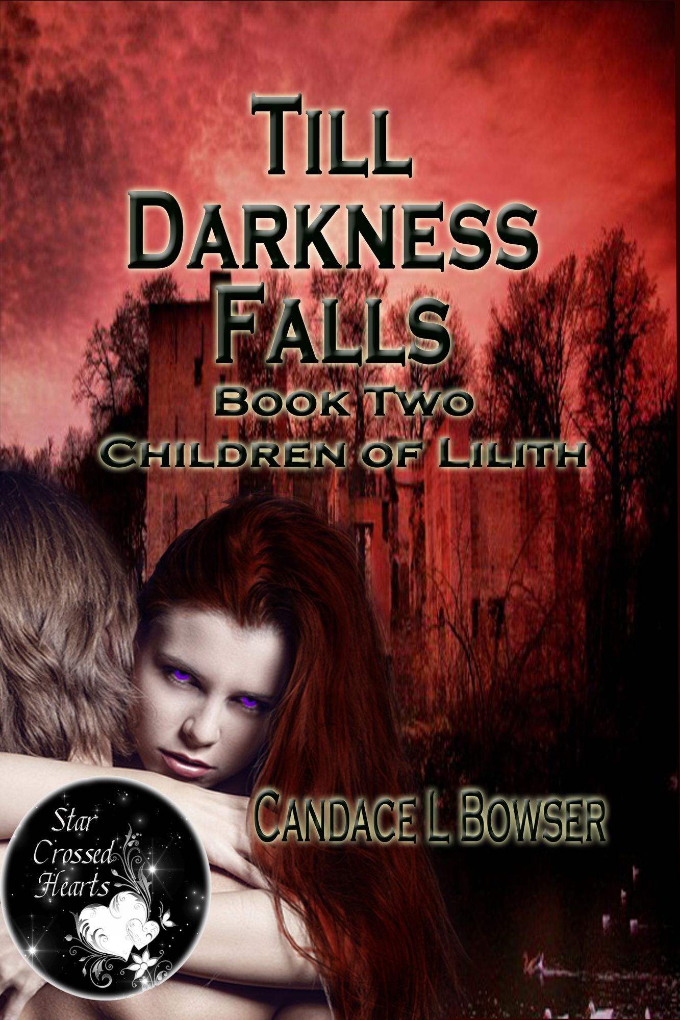 Till Darkness Falls Book 2 Children of Lilith Series