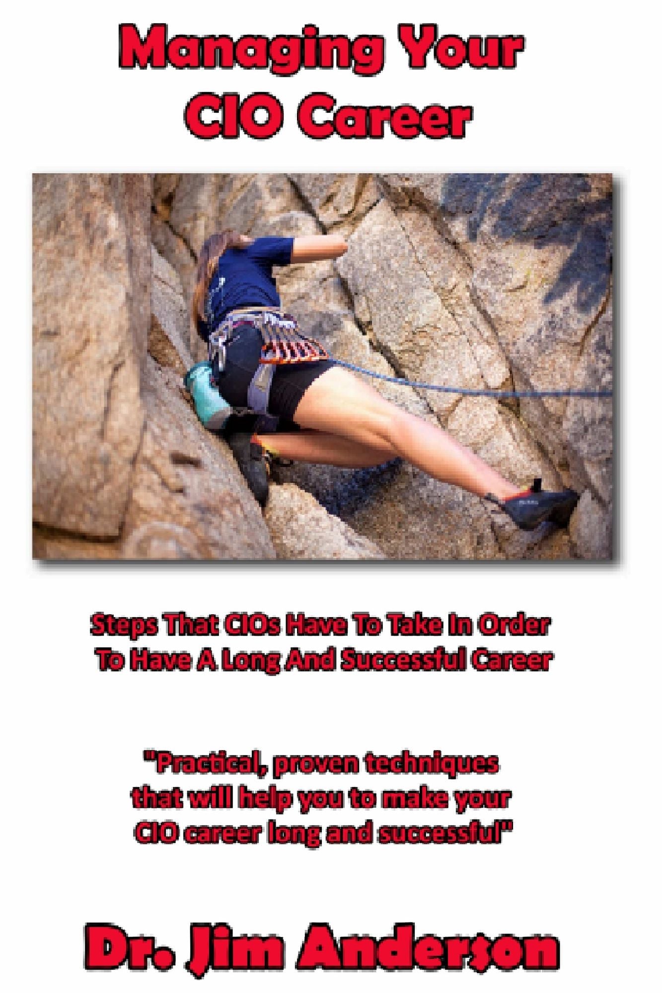 Managing Your CIO Career: Steps That CIOs Have To Take In Order To Have A Long And Successful Career