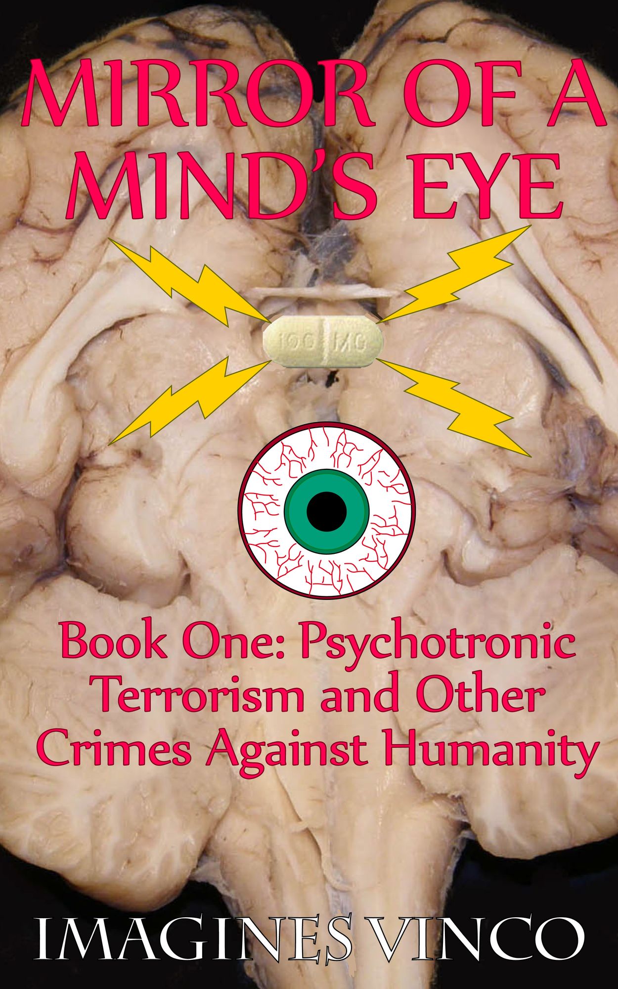 Mirror of a Mind's Eye Book 1 Psychotronic Terrorism and other Crimes Against Humanity