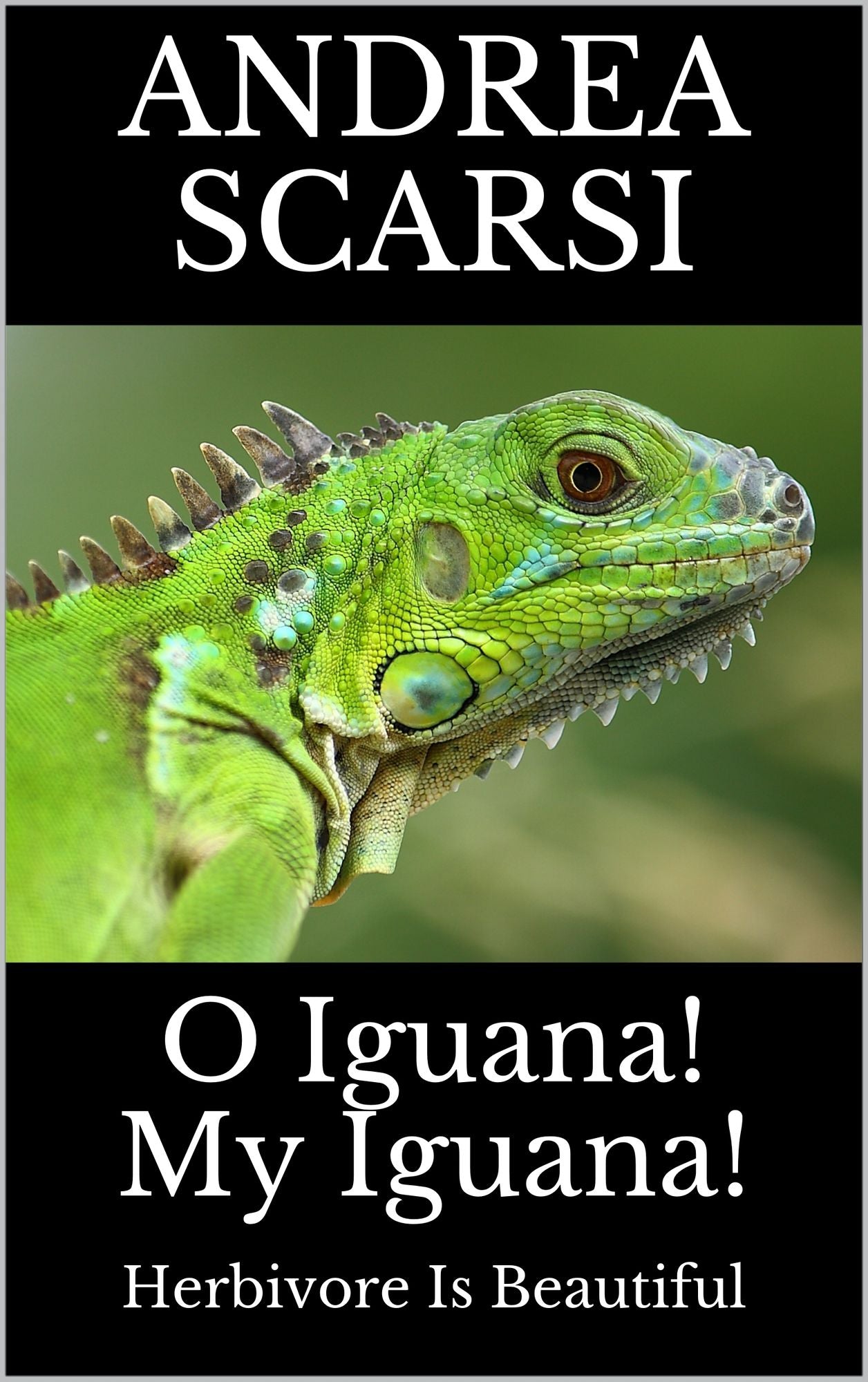 O Iguana! My Iguana!