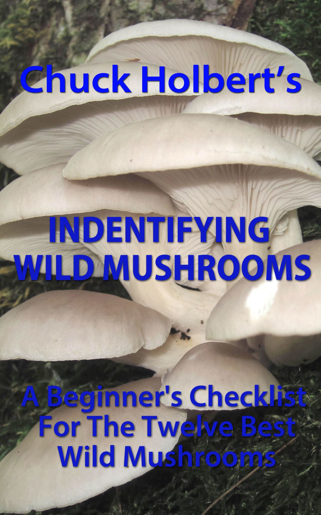 Identifying Wild Mushrooms: A Beginners Checklist