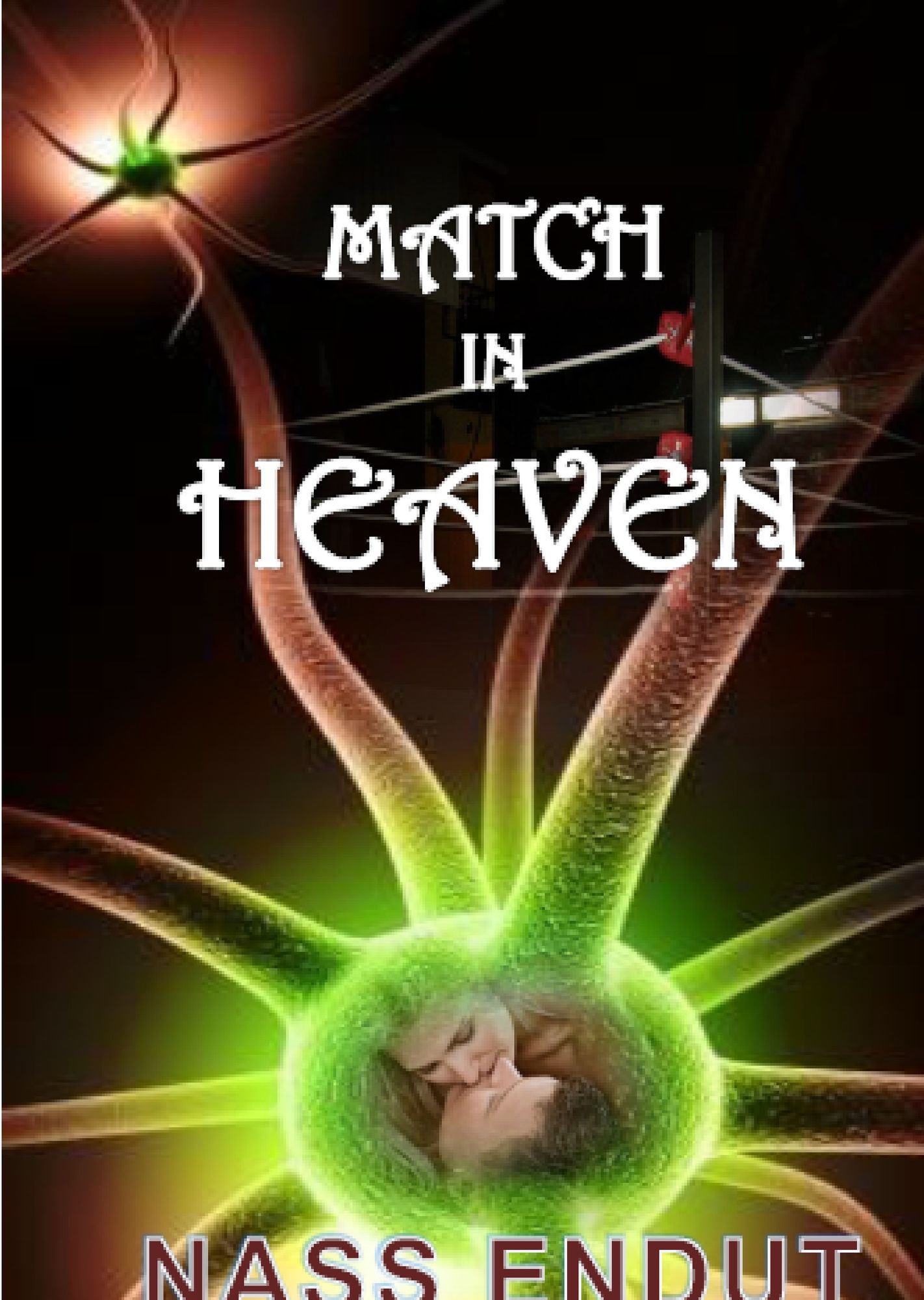 Match in Heaven
