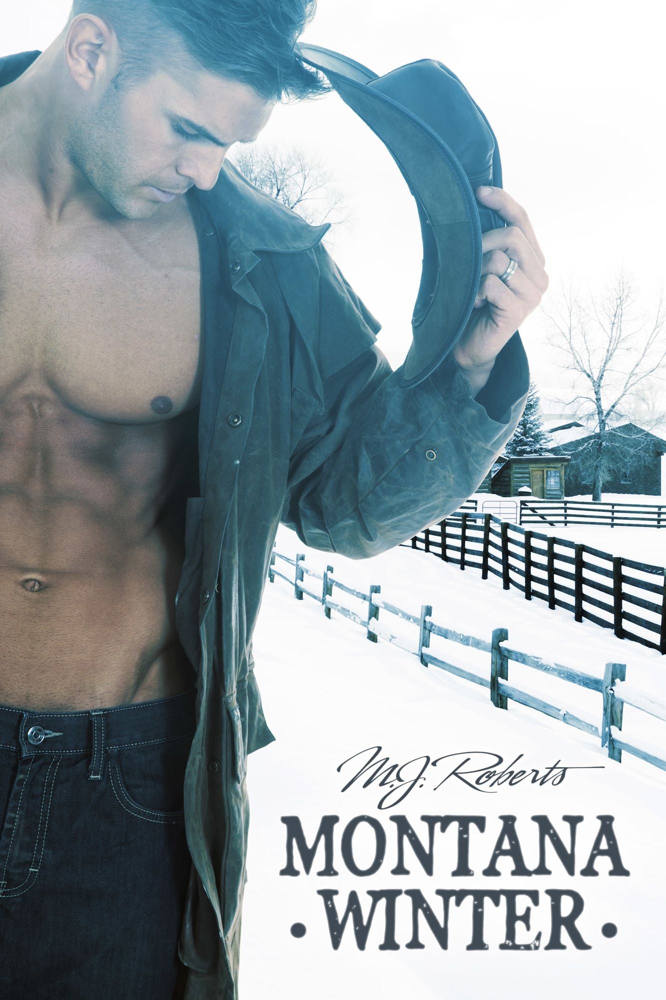 Montana Winter