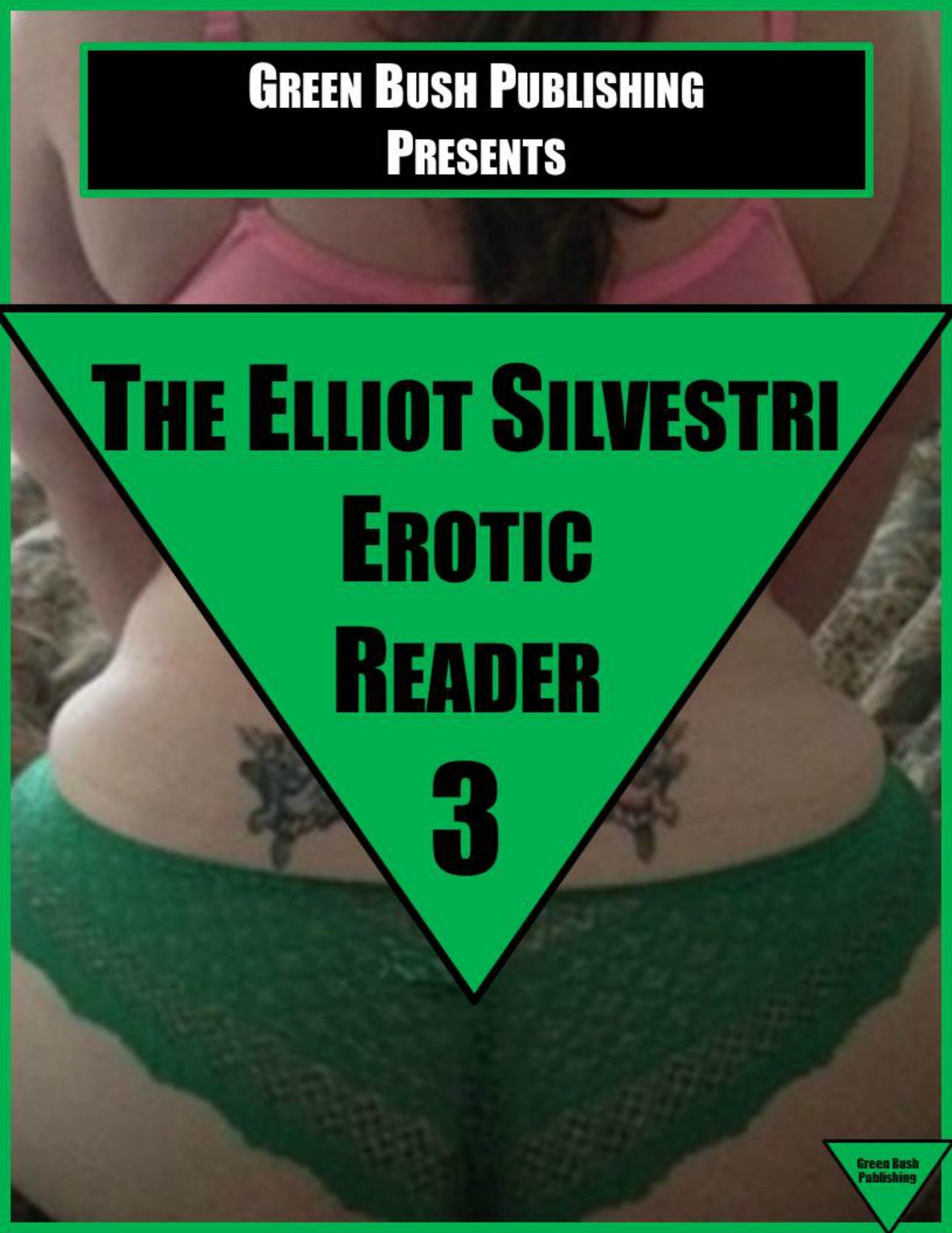 The Elliot Silvestri Erotic Reader Volume 3