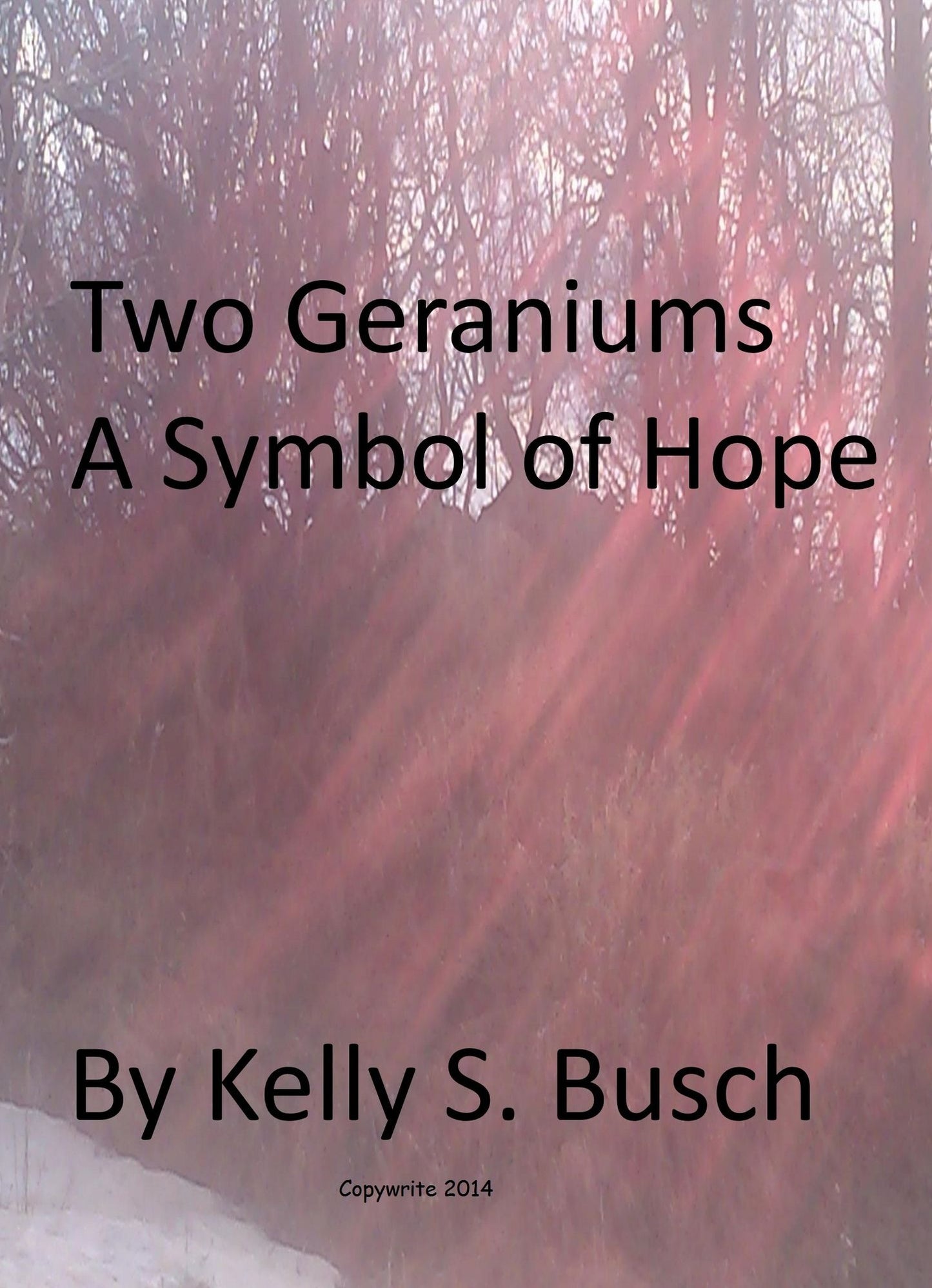 Two Geraniums A Symbol of Hope