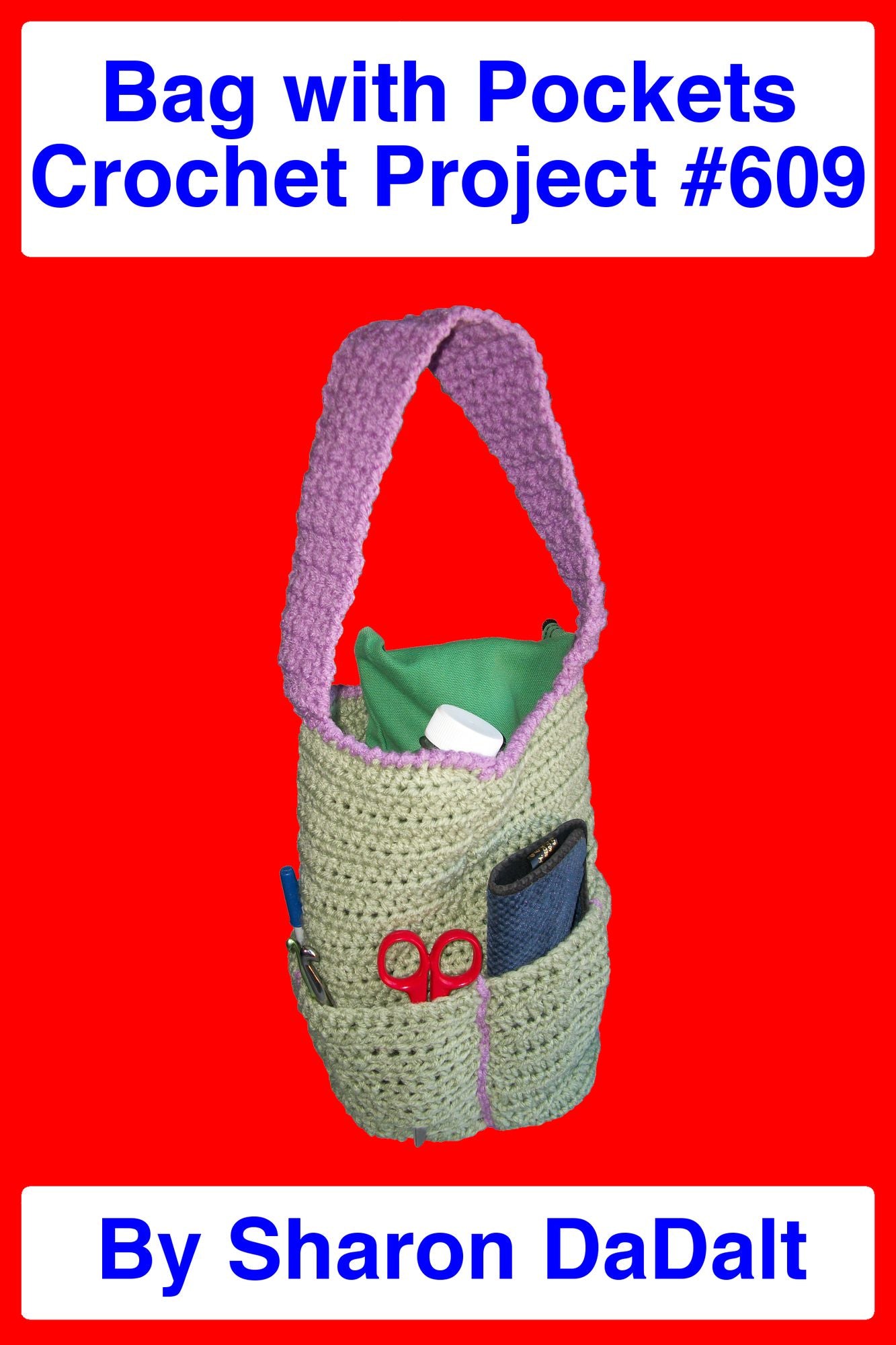 Bag with Pockets Crochet Project #609