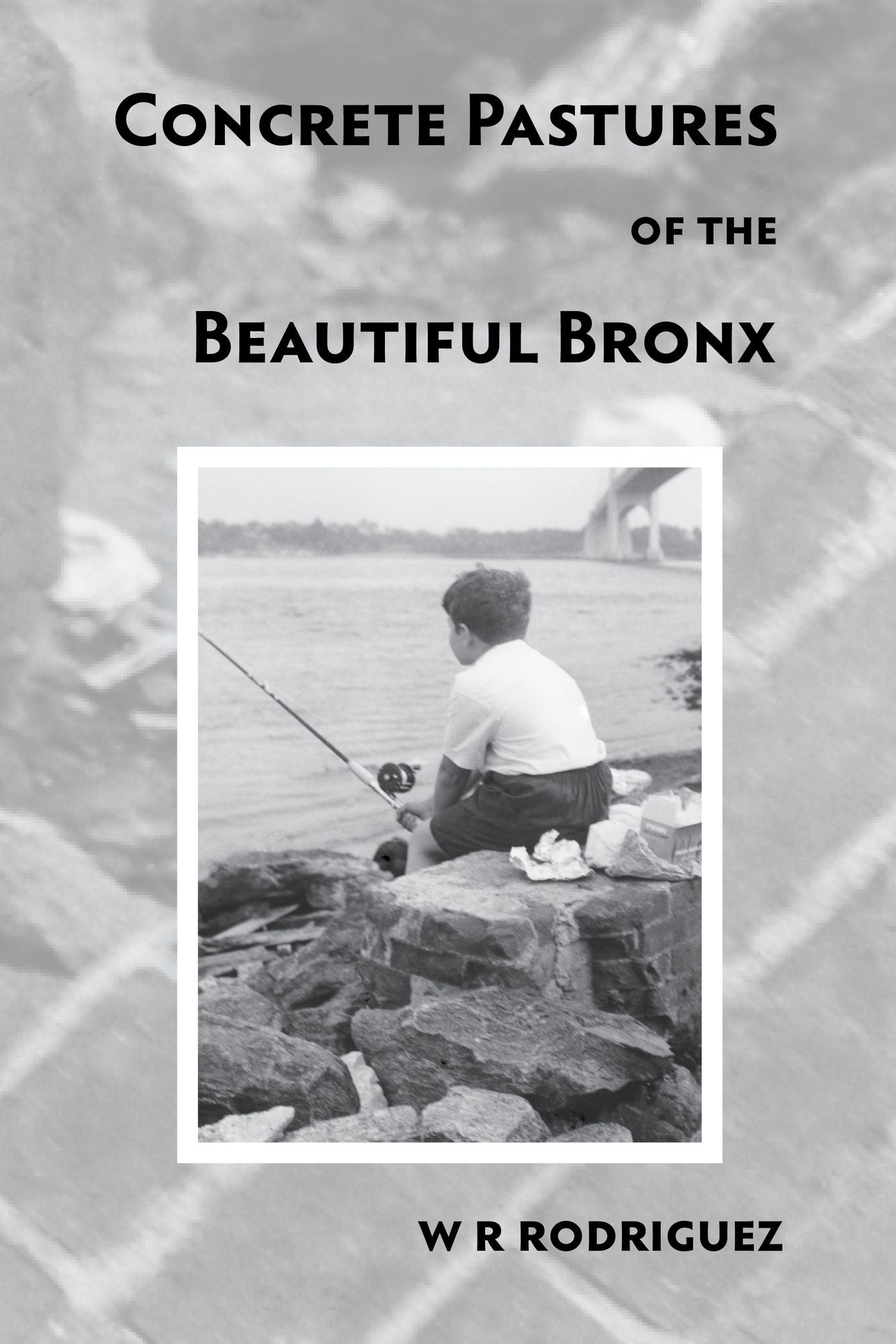 Concrete Pastures of the Beautiful Bronx
