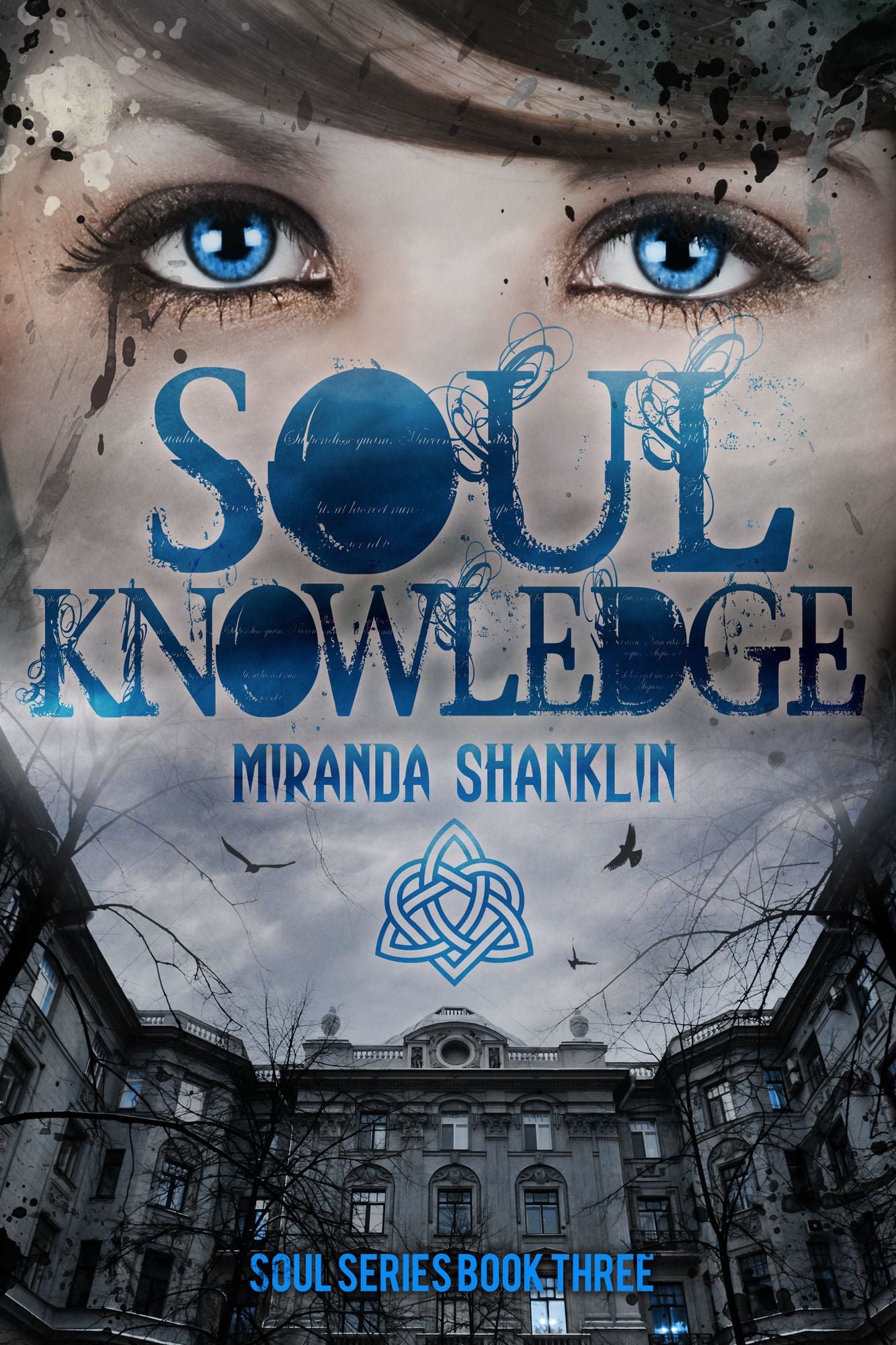 Soul Knowledge (Soul Series Book 3)