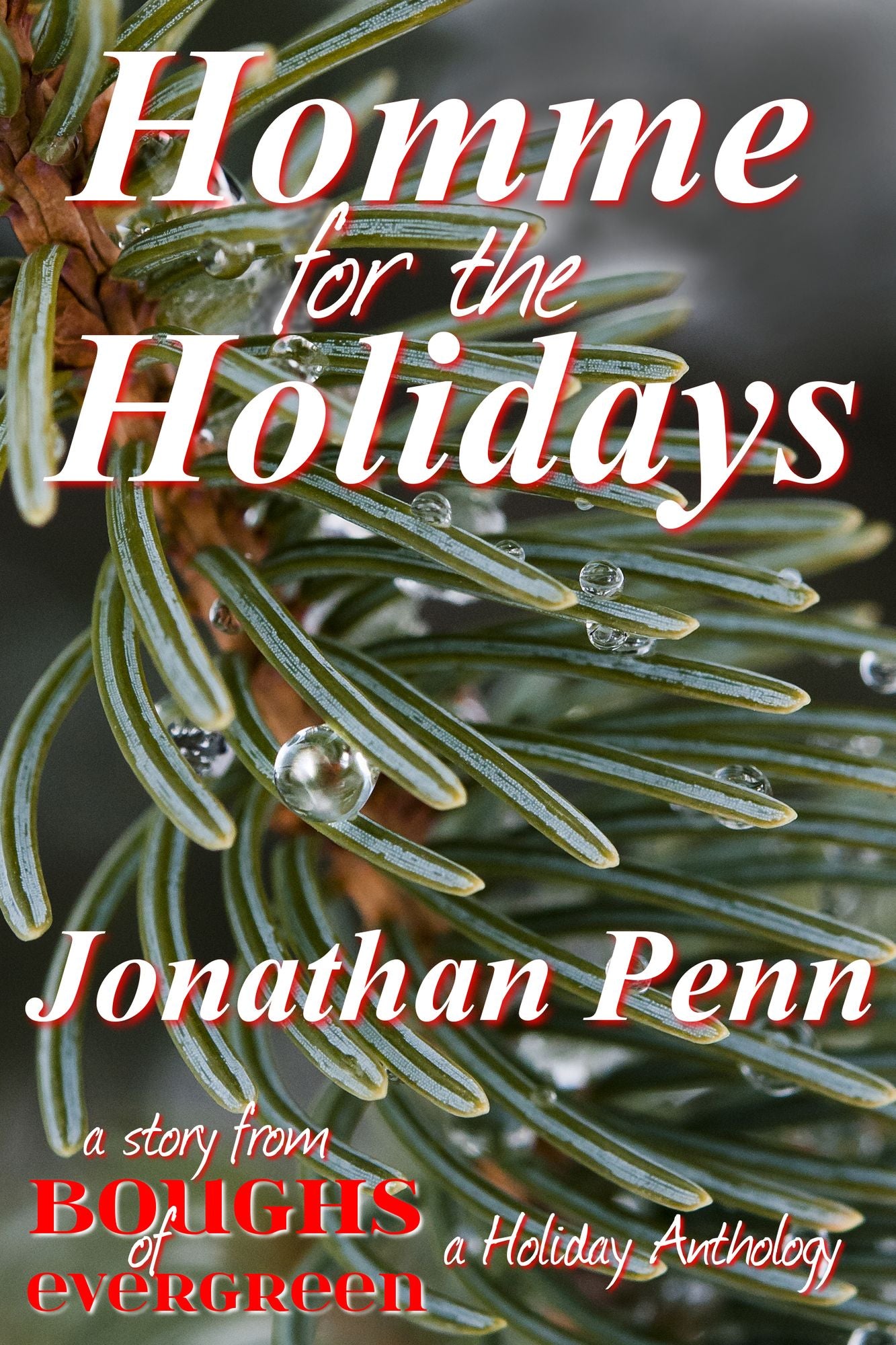 Homme for the Holidays