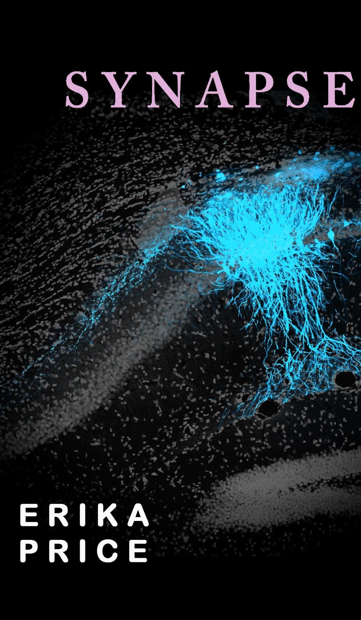 Synapse