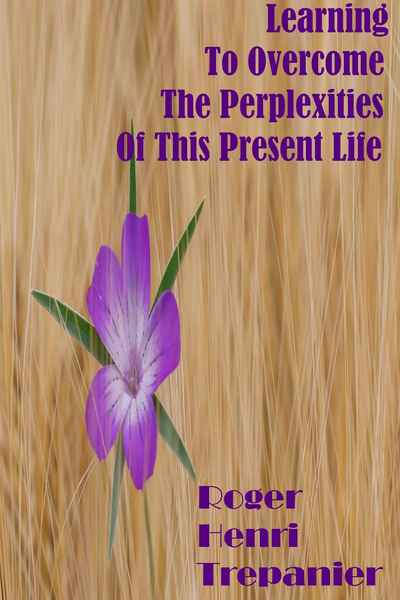 Learning To Overcome The Perplexities Of This Present Life
