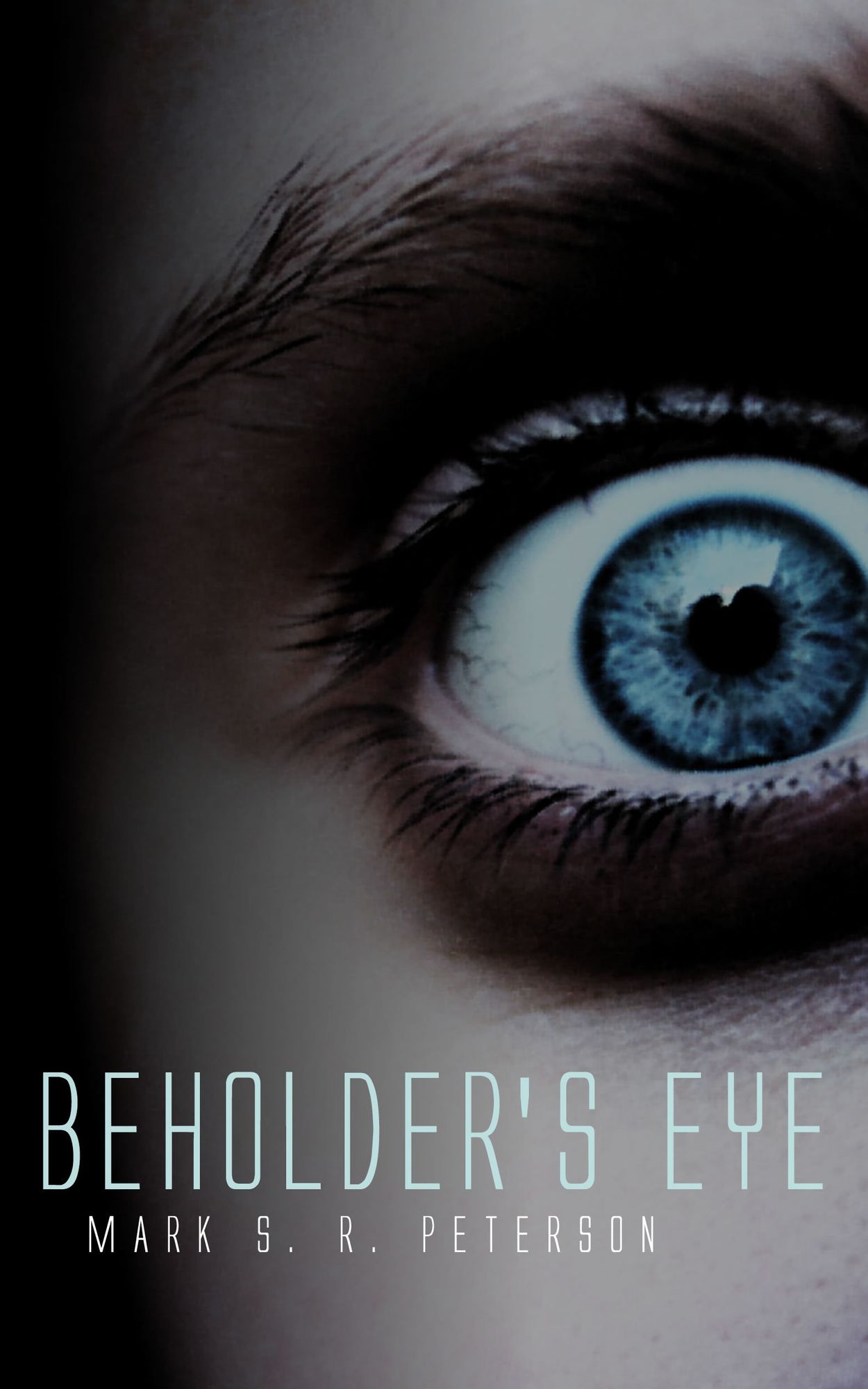 Beholder's Eye: A Thriller Novel (Central Division Series, Book 1)