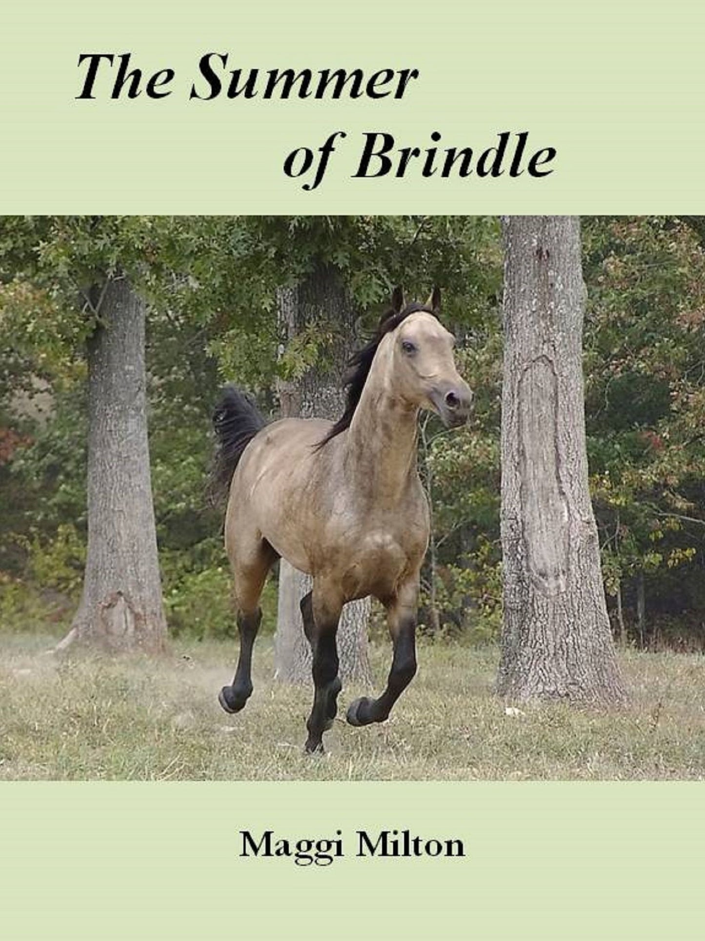 The Summer of Brindle
