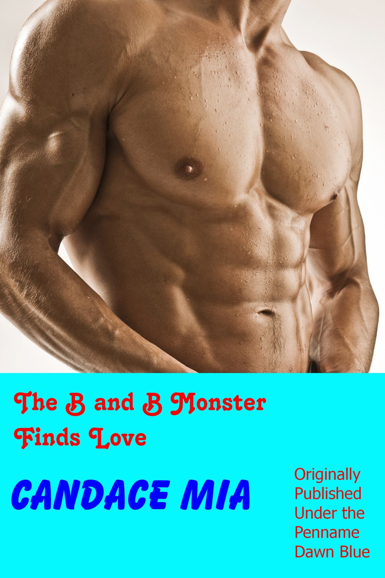 The B and B Monster Finds Love: A Novelette