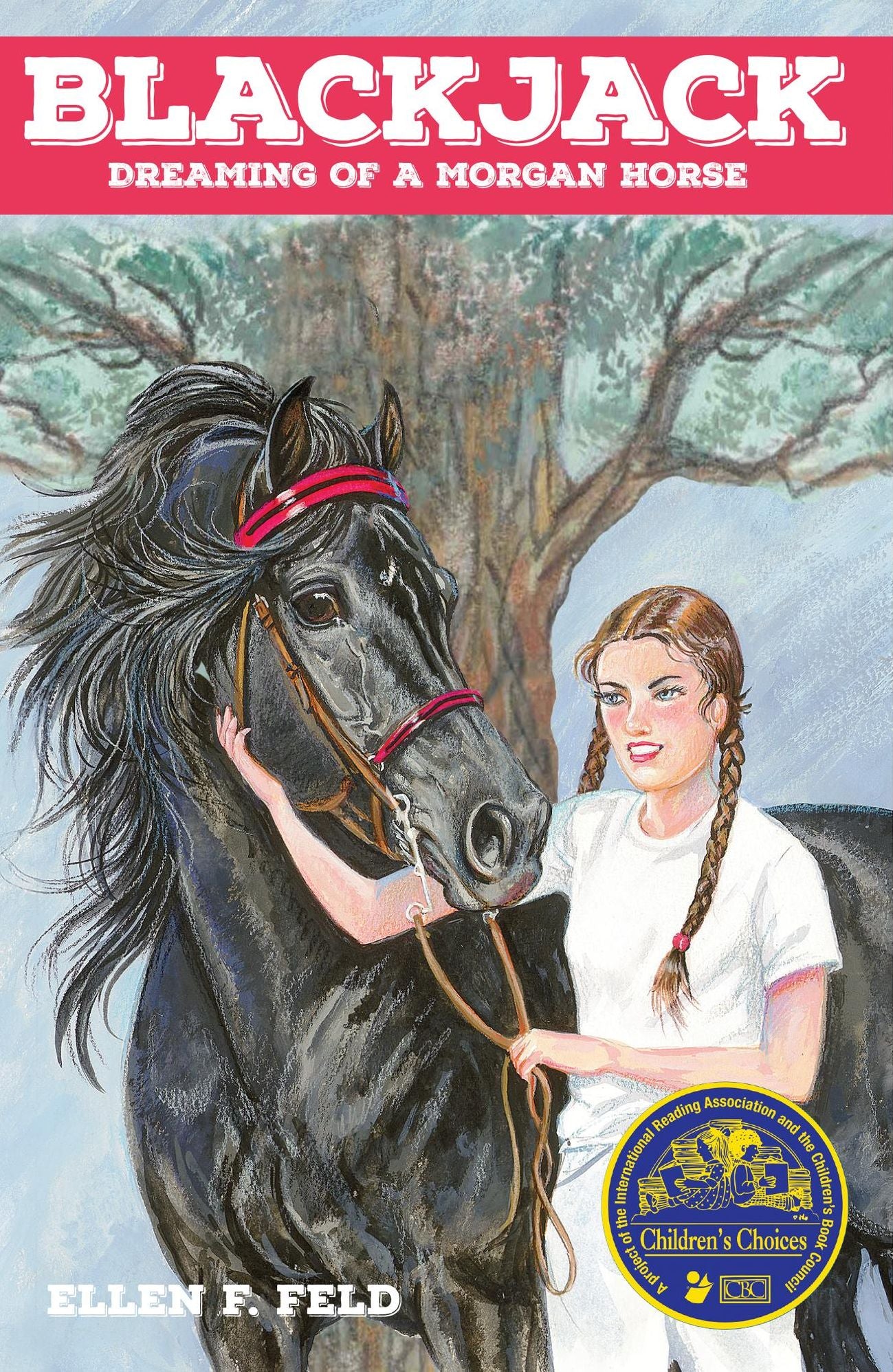 Blackjack: Dreaming of a Morgan Horse