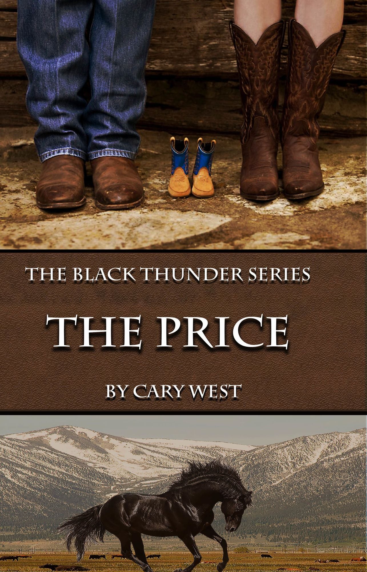 The Price, Book Two in The Black Thunder Series