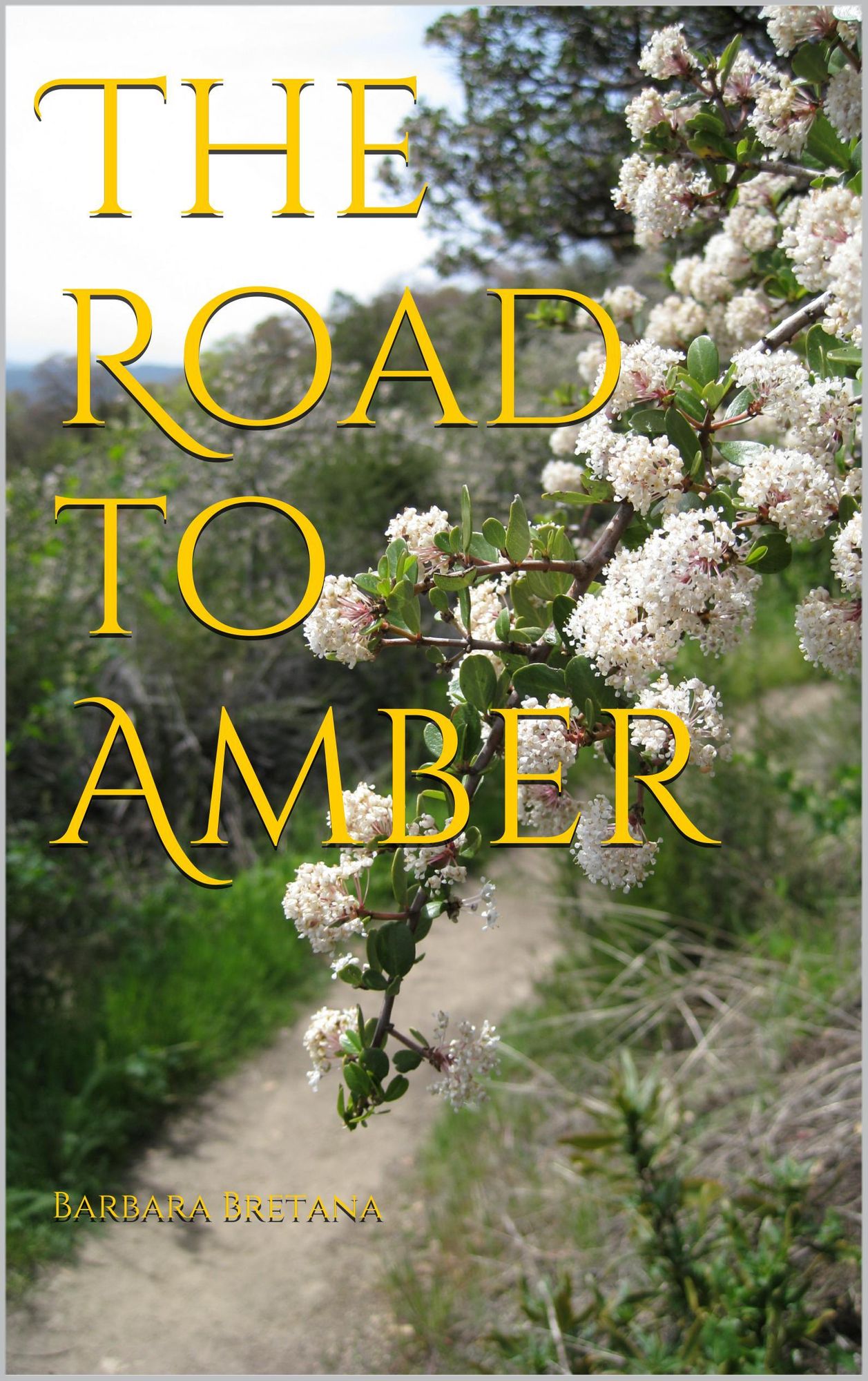 The Road to Amber