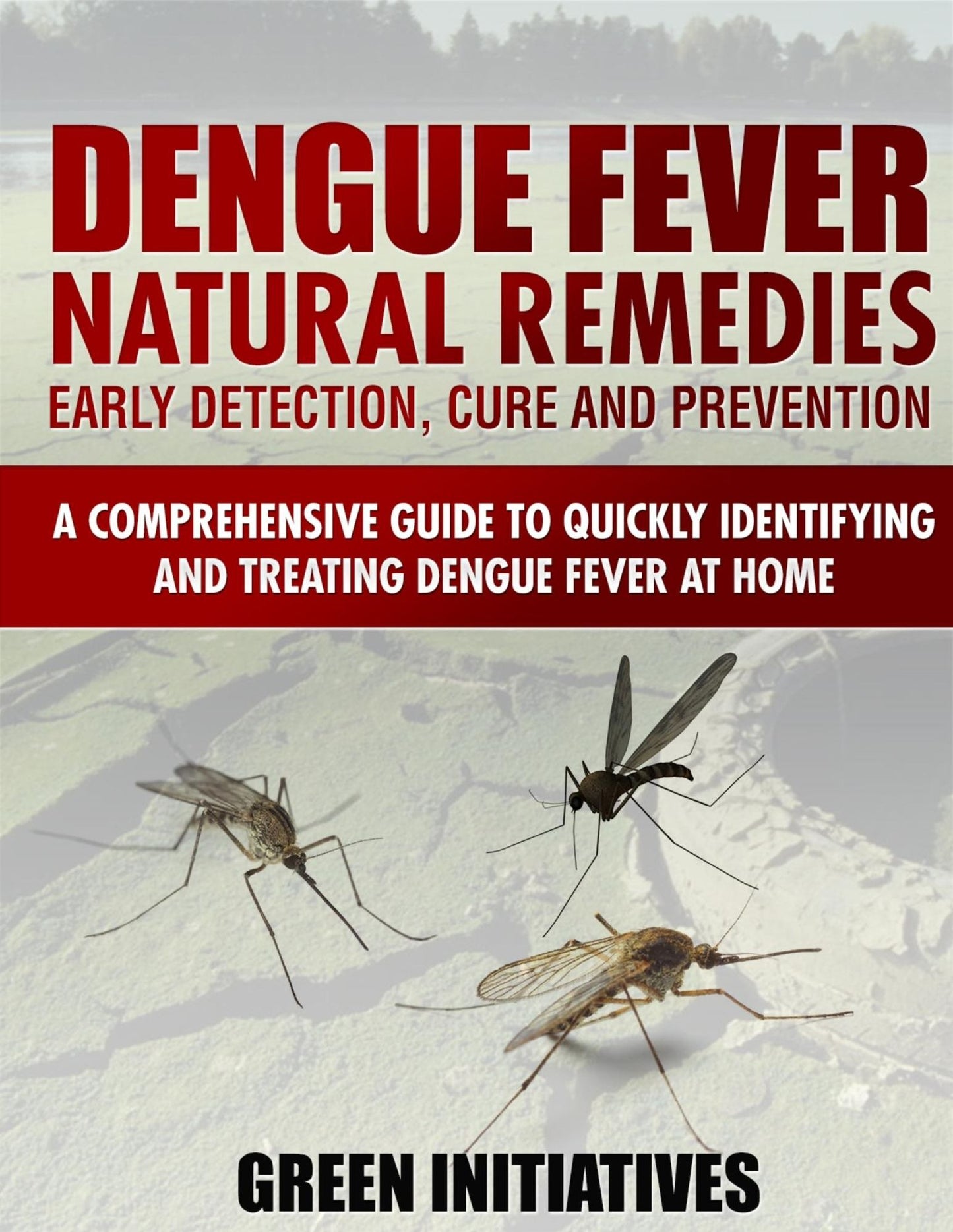 Dengue Fever Natural Remedies: Comprehensive Guide to Identifying and Treating Dengue Fever at Home