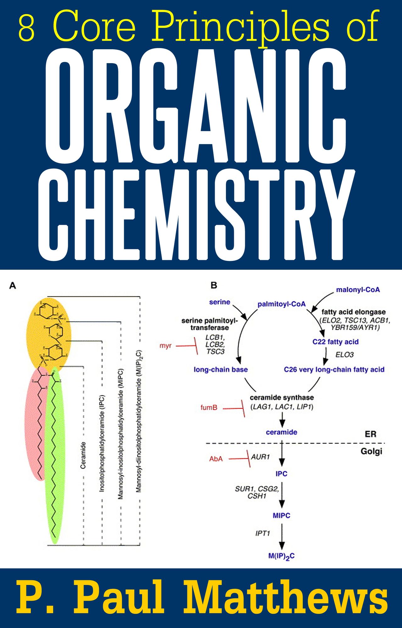 8 Core Principles of Organic Chemistry