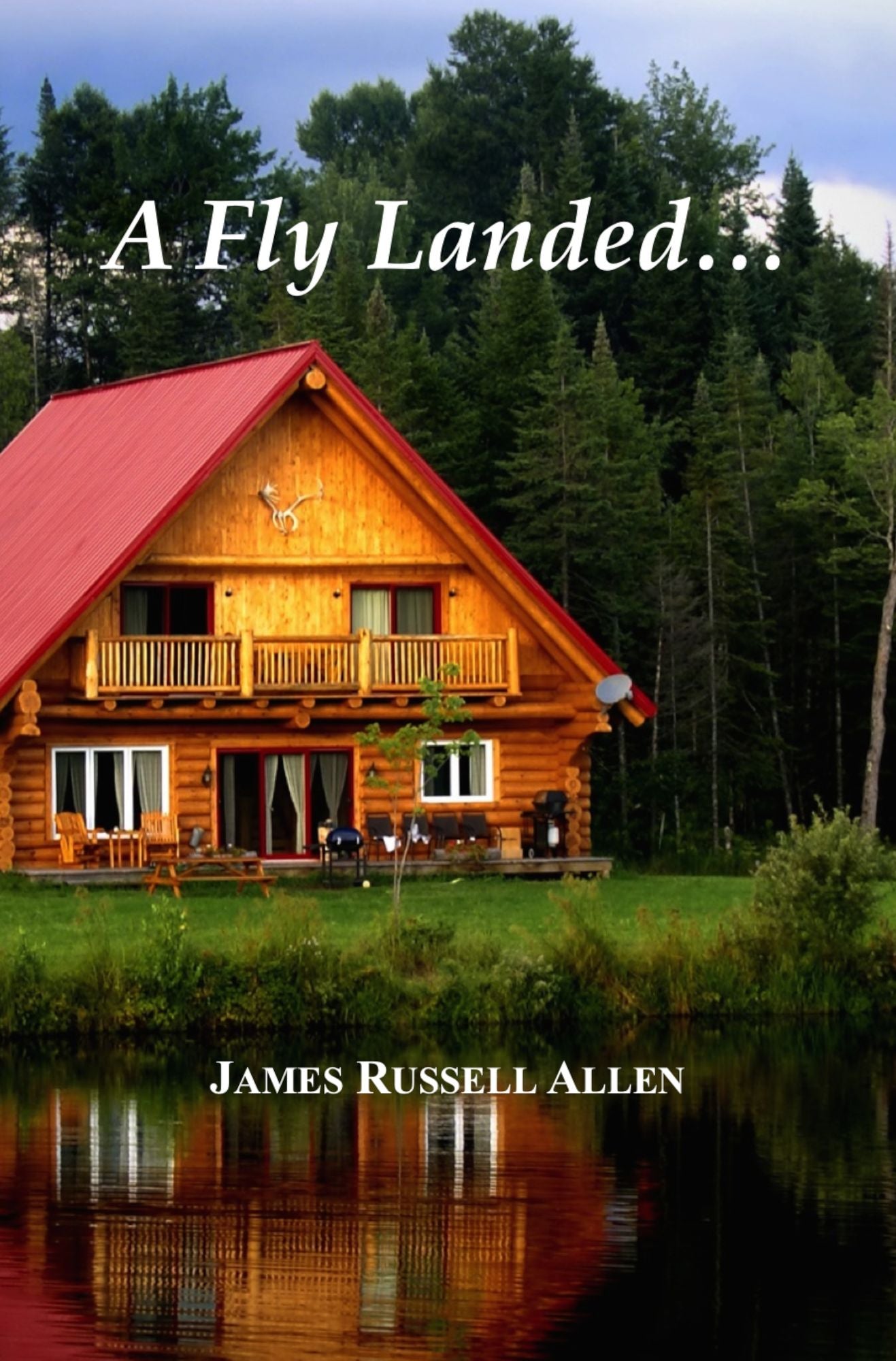 A Fly Landed...