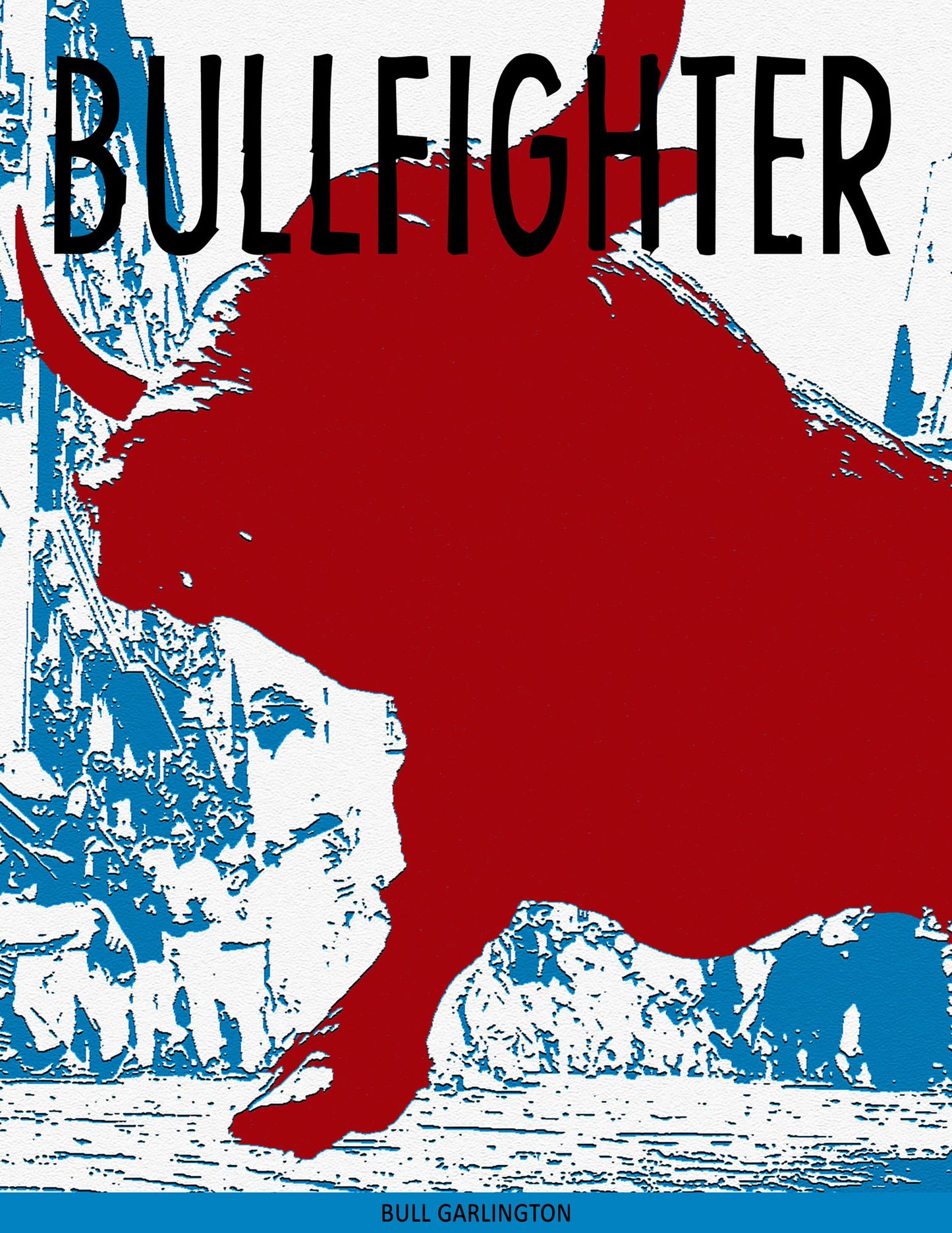 Bullfighter